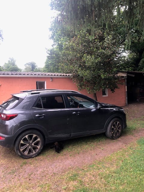 Kia Stonic avec Climatisation