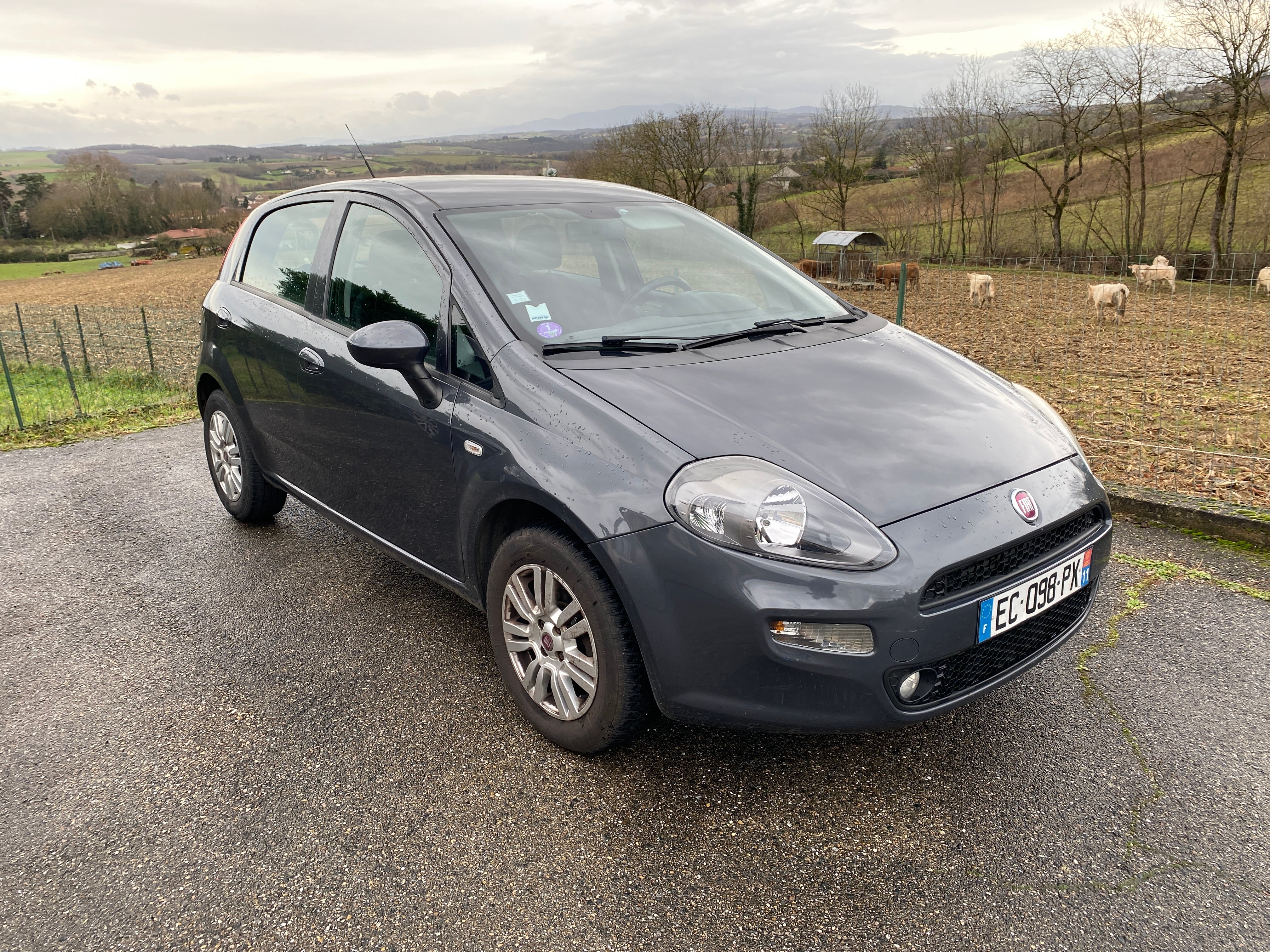 Fiat Grande Punto, 2016, Essence 95