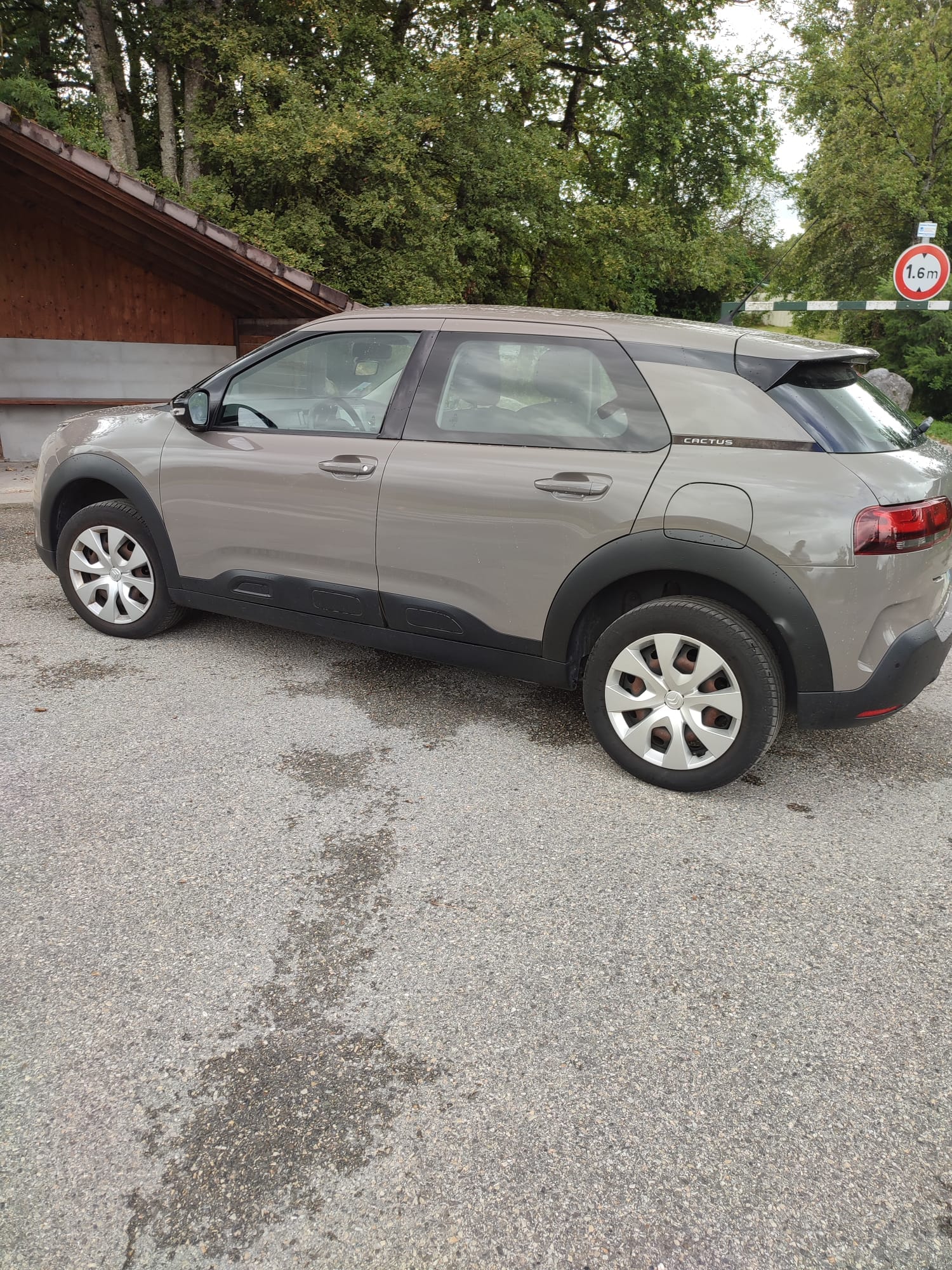 Citroen C4 Cactus avec Climatisation