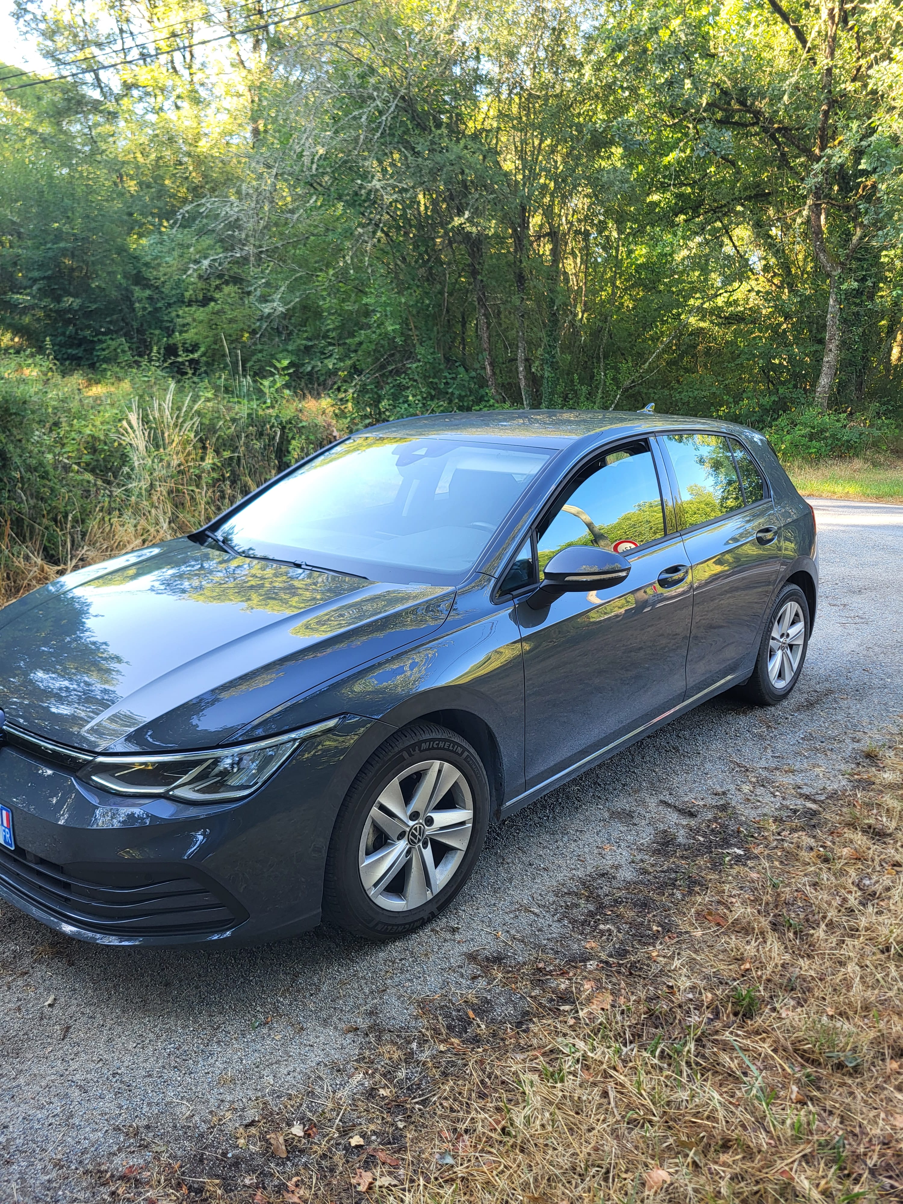 Volkswagen Golf, 2023, Essence 95 / Électrique (hybride), automatique