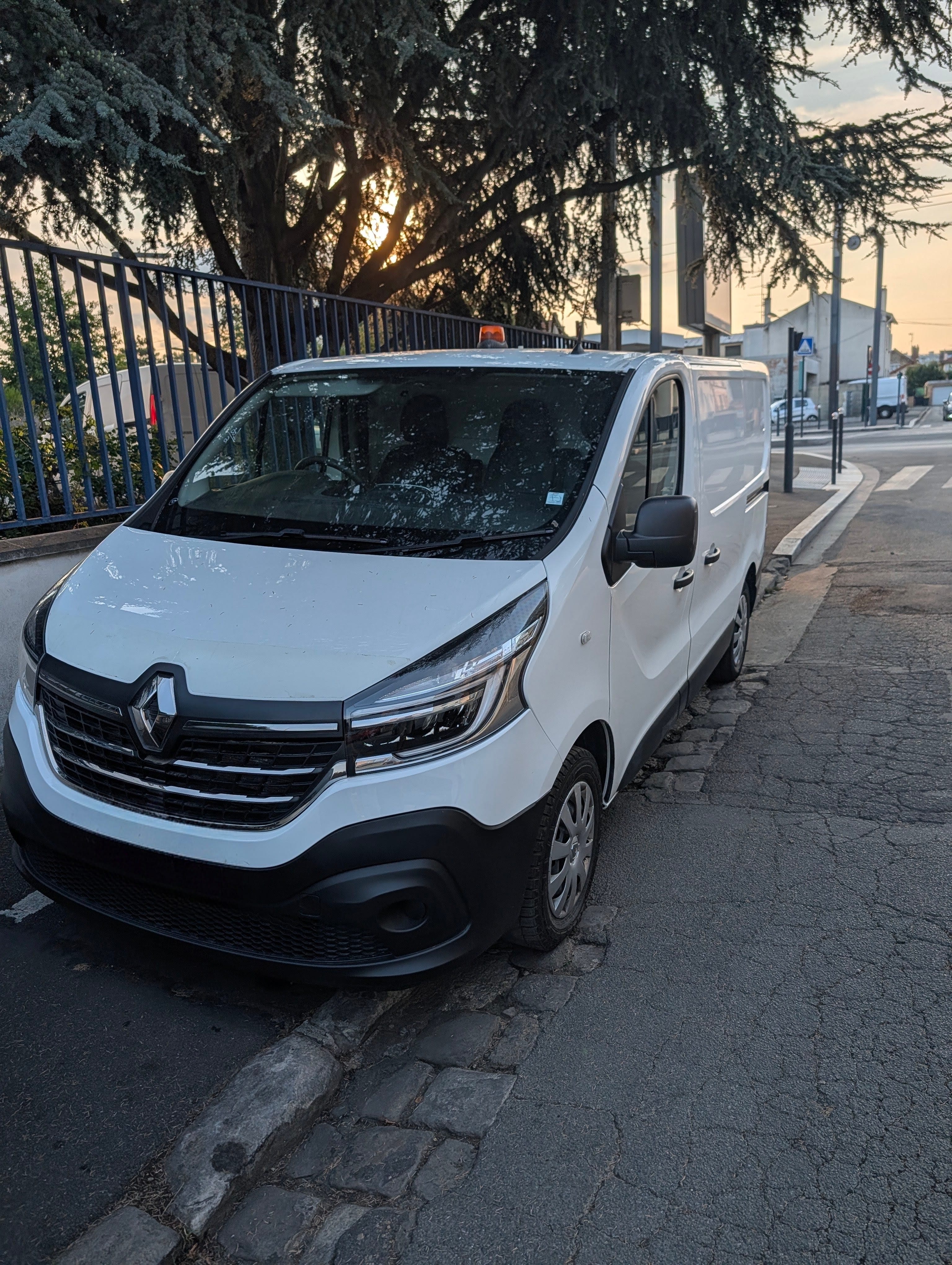 Renault Trafic, 2021, Diesel