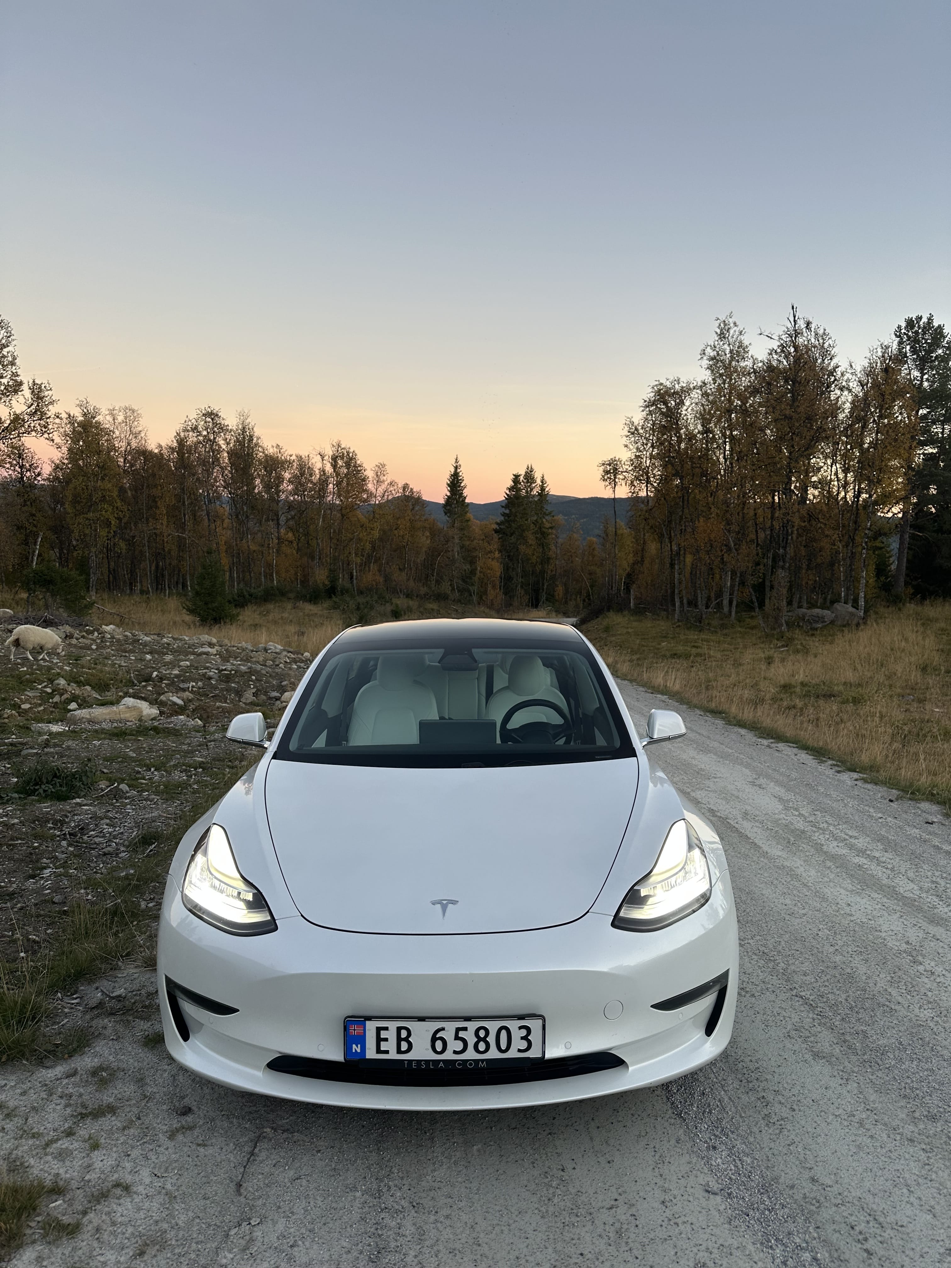 Tesla Model 3 Long Range 560km WLTP med Firehjulstrekk