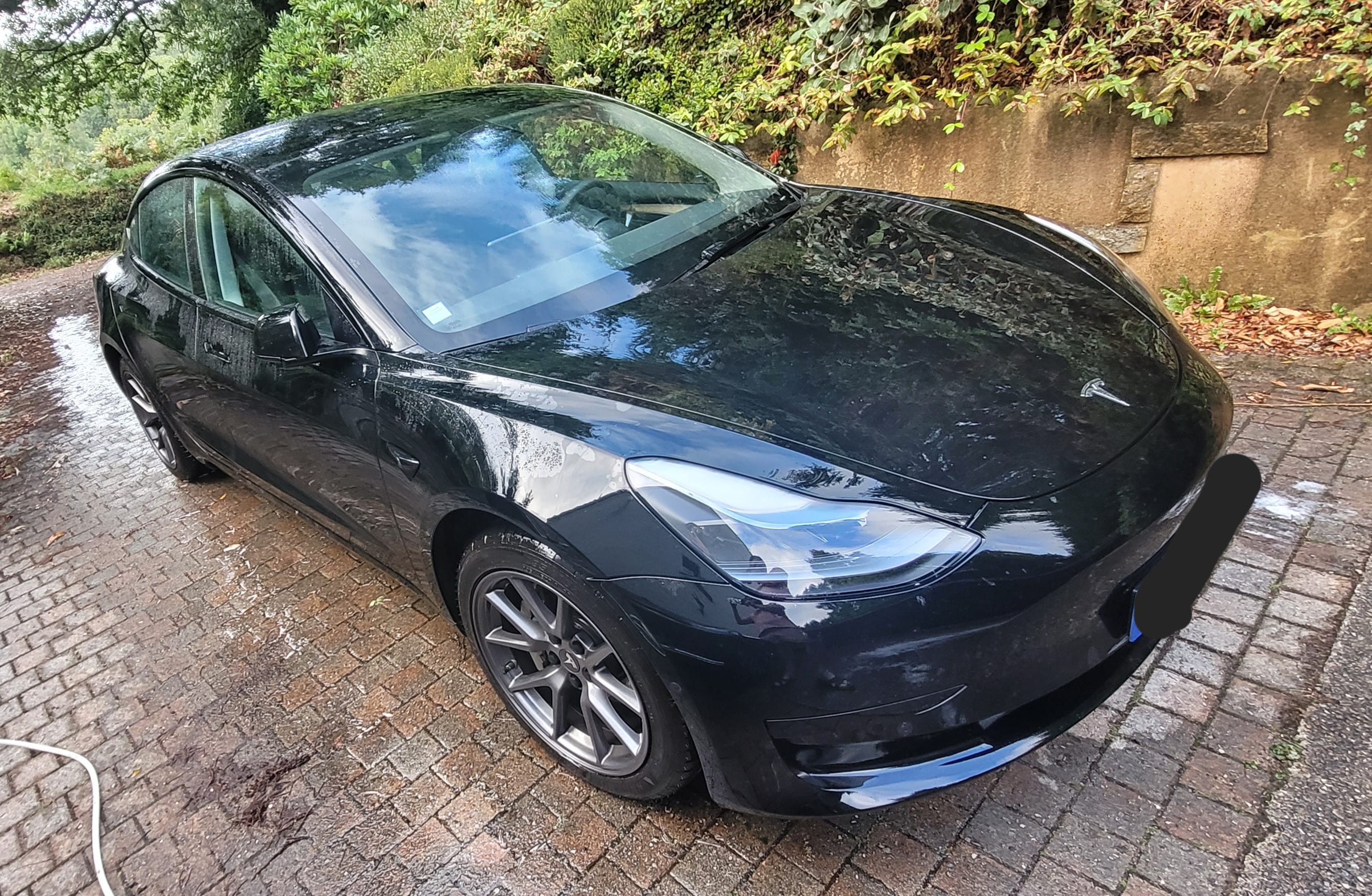 Tesla Model 3 Standard Range Plus, 2021, Électrique, automatique