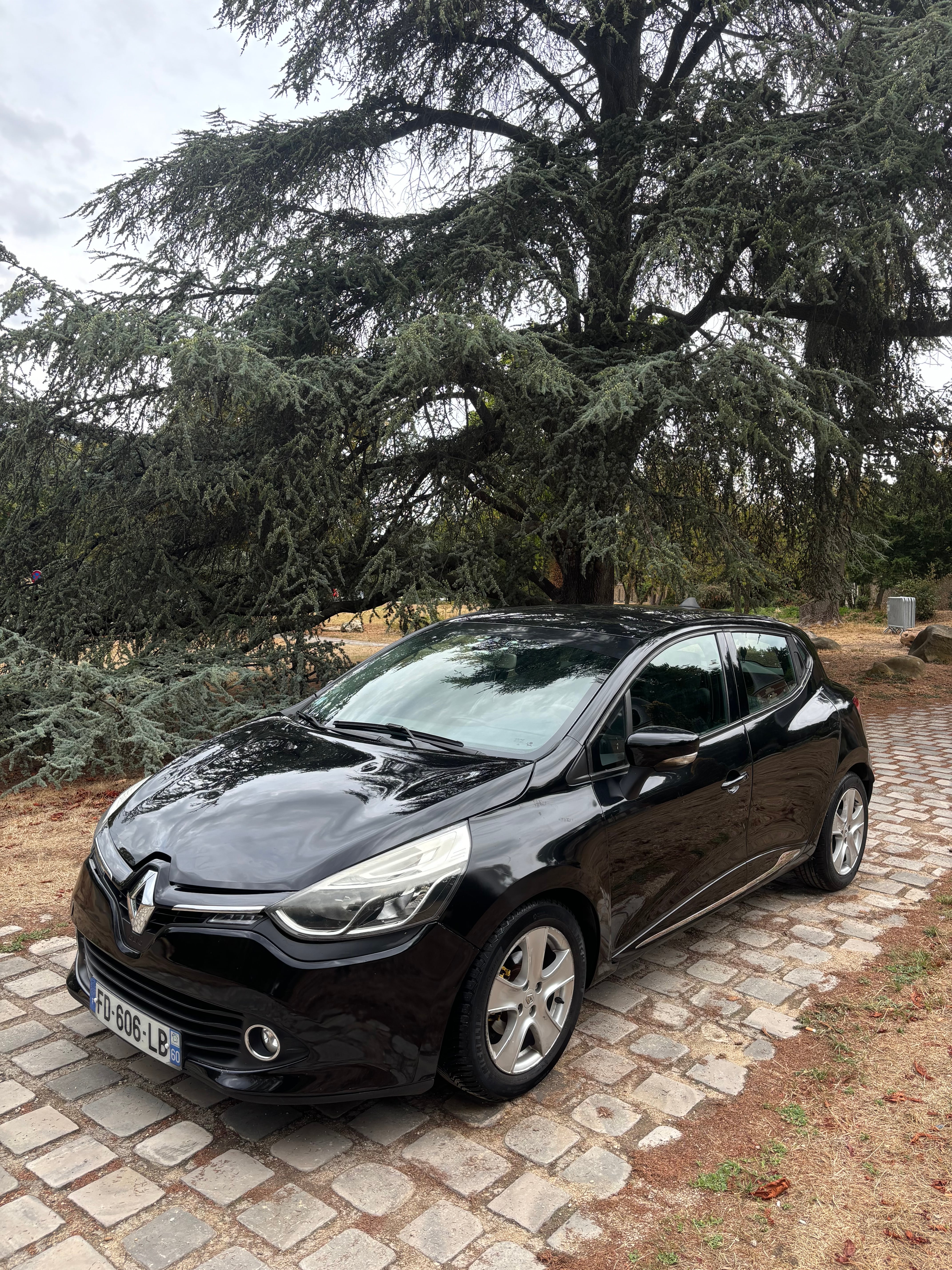 Renault Clio, 2013, Diesel