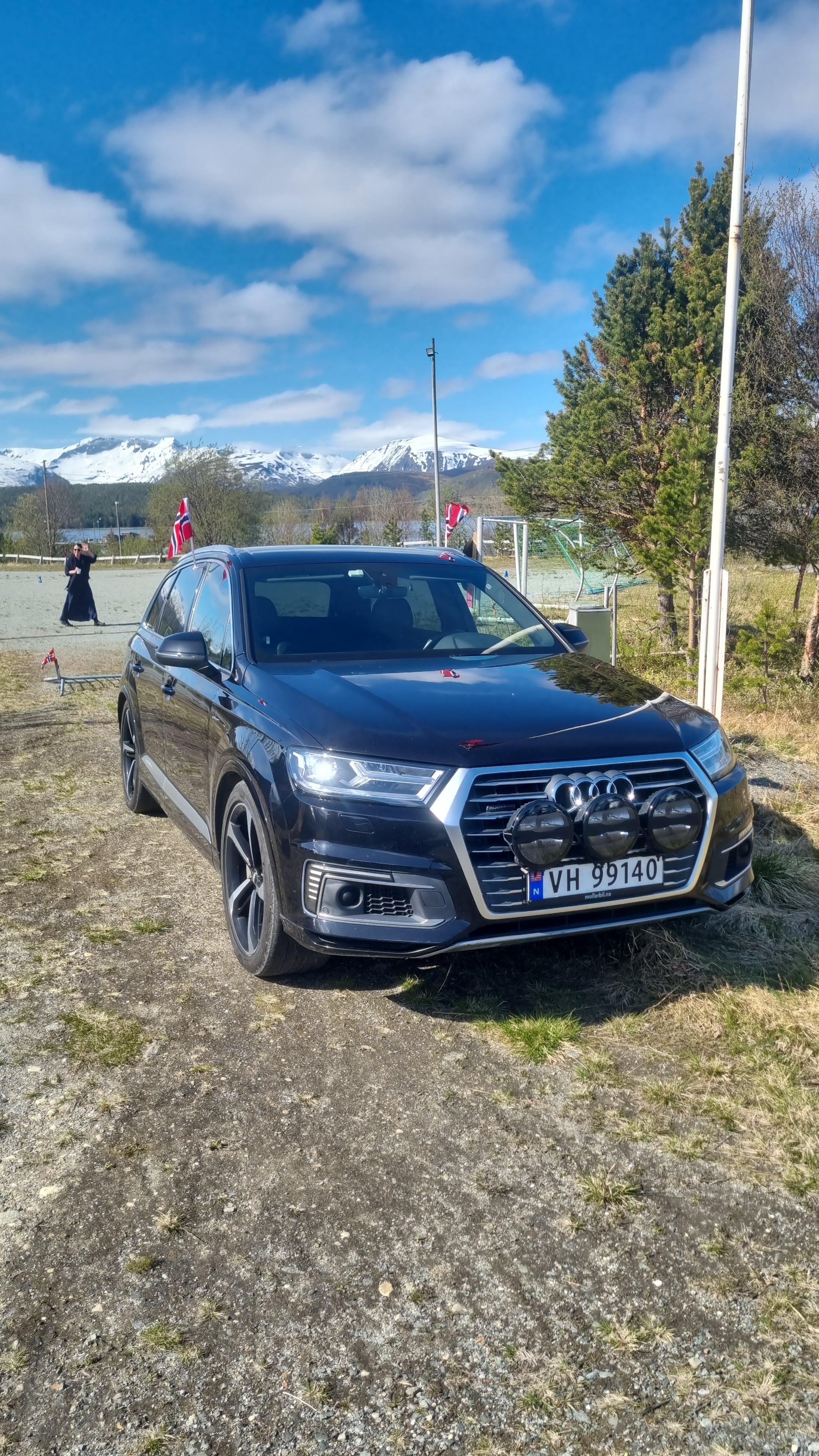 Audi Q7 e-tron, 2018, Diesel / Elektro (Hybrid), Automatik