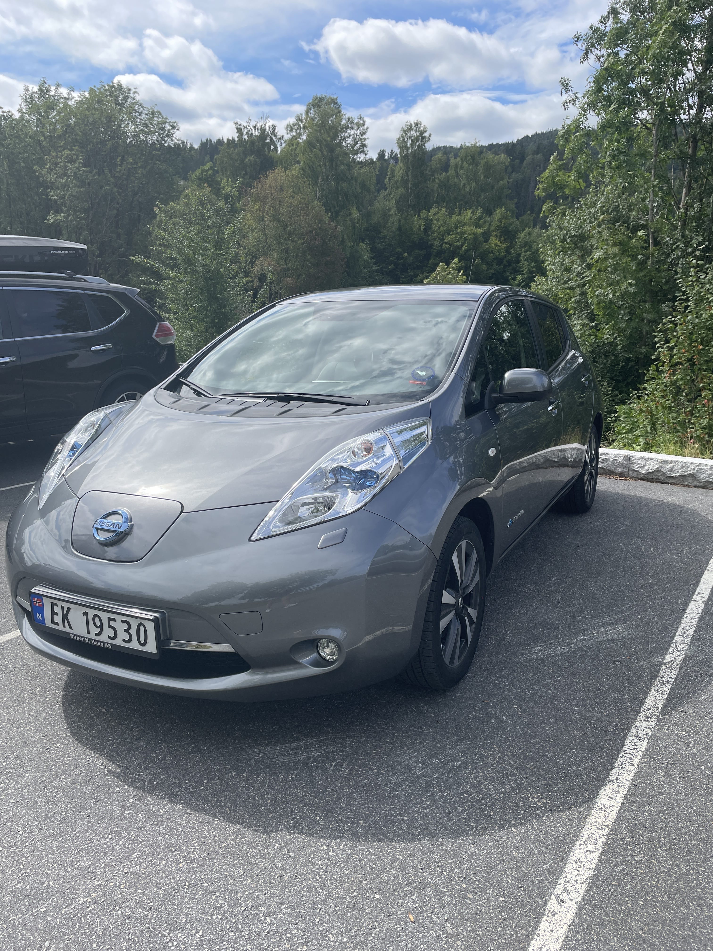 Nissan Leaf, 2016, Diesel, automatisk