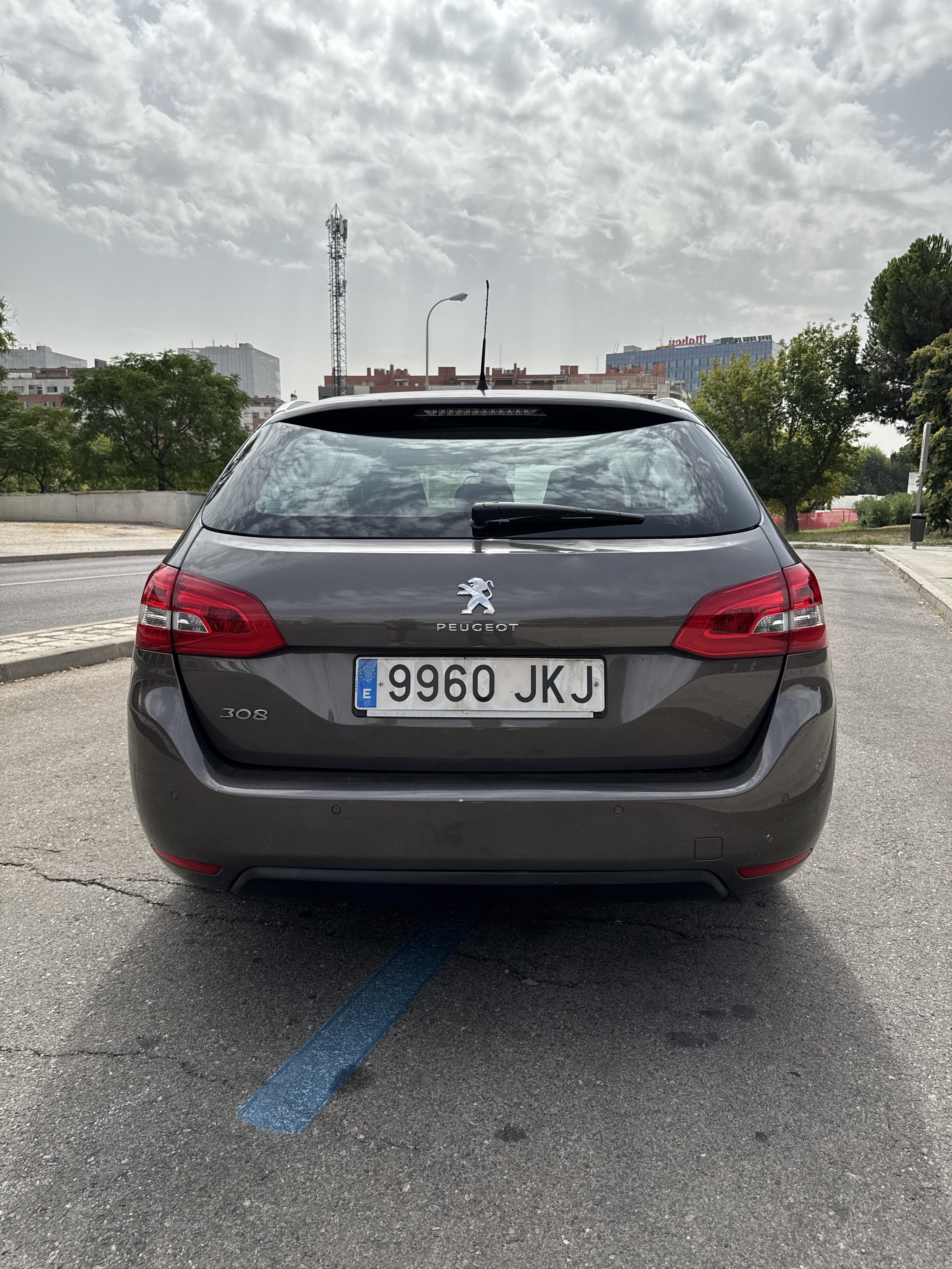 Peugeot 308 SW con Entrada de Audio/iPod