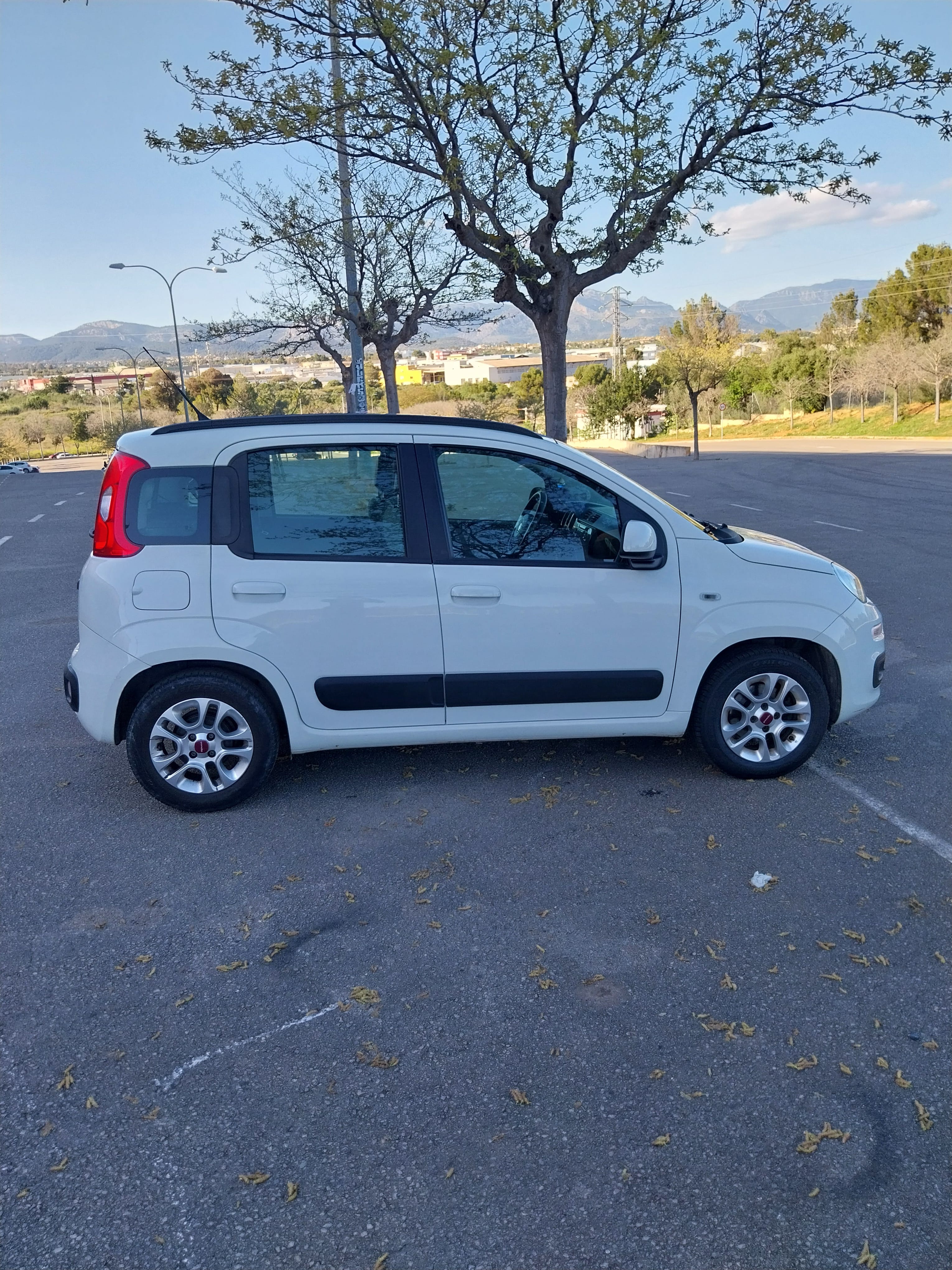 Fiat Panda 1.2 gasolina con Aire acondicionado