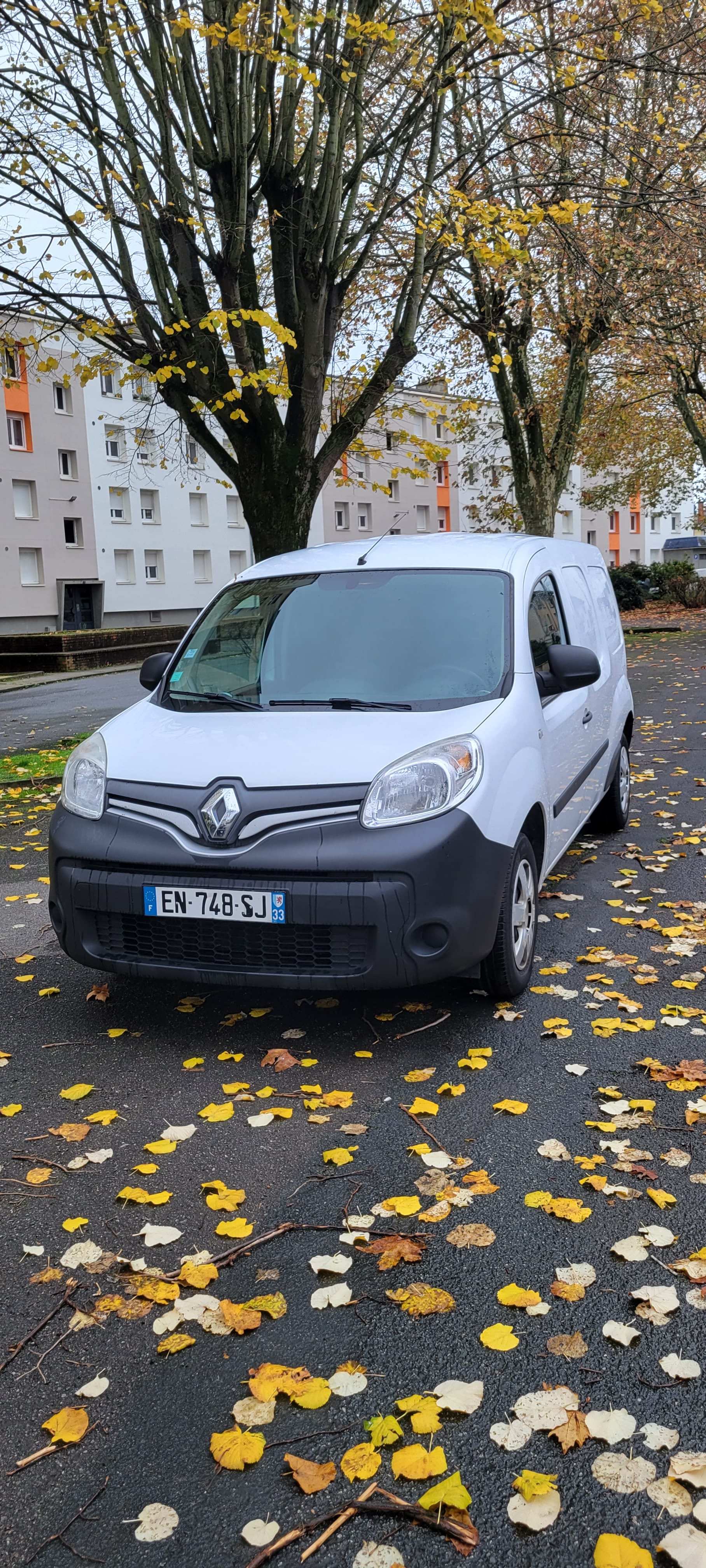 Renault Kangoo Express