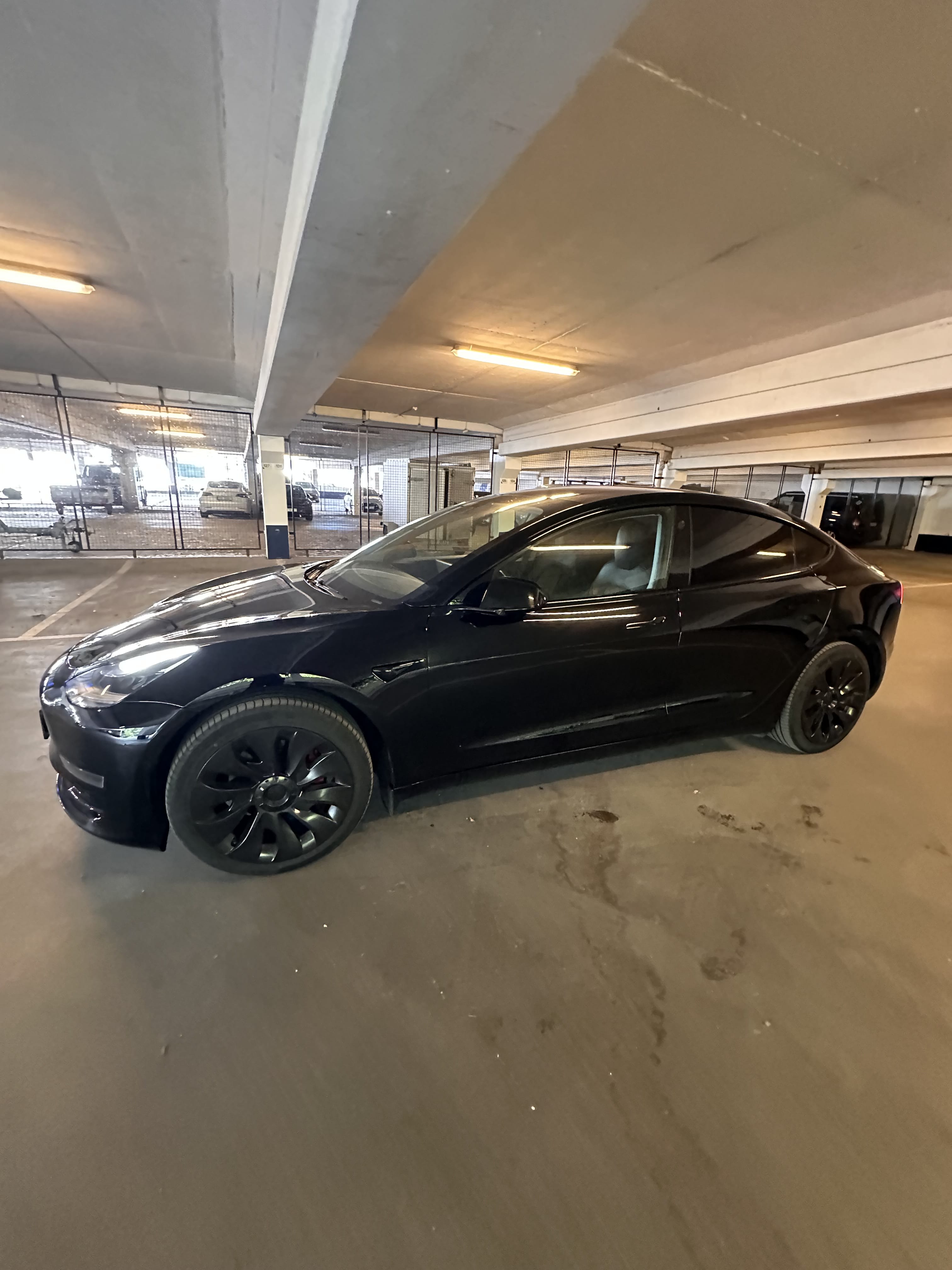 Tesla Model 3 Long Range med Cruisekontroll