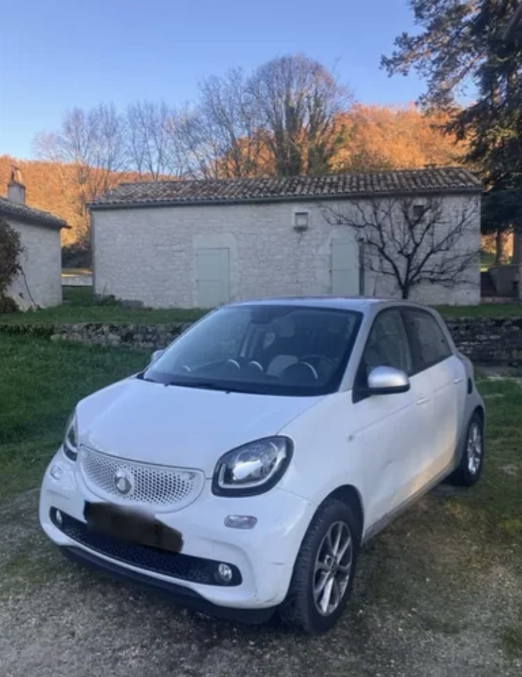 Smart Forfour, 2015, Essence 98