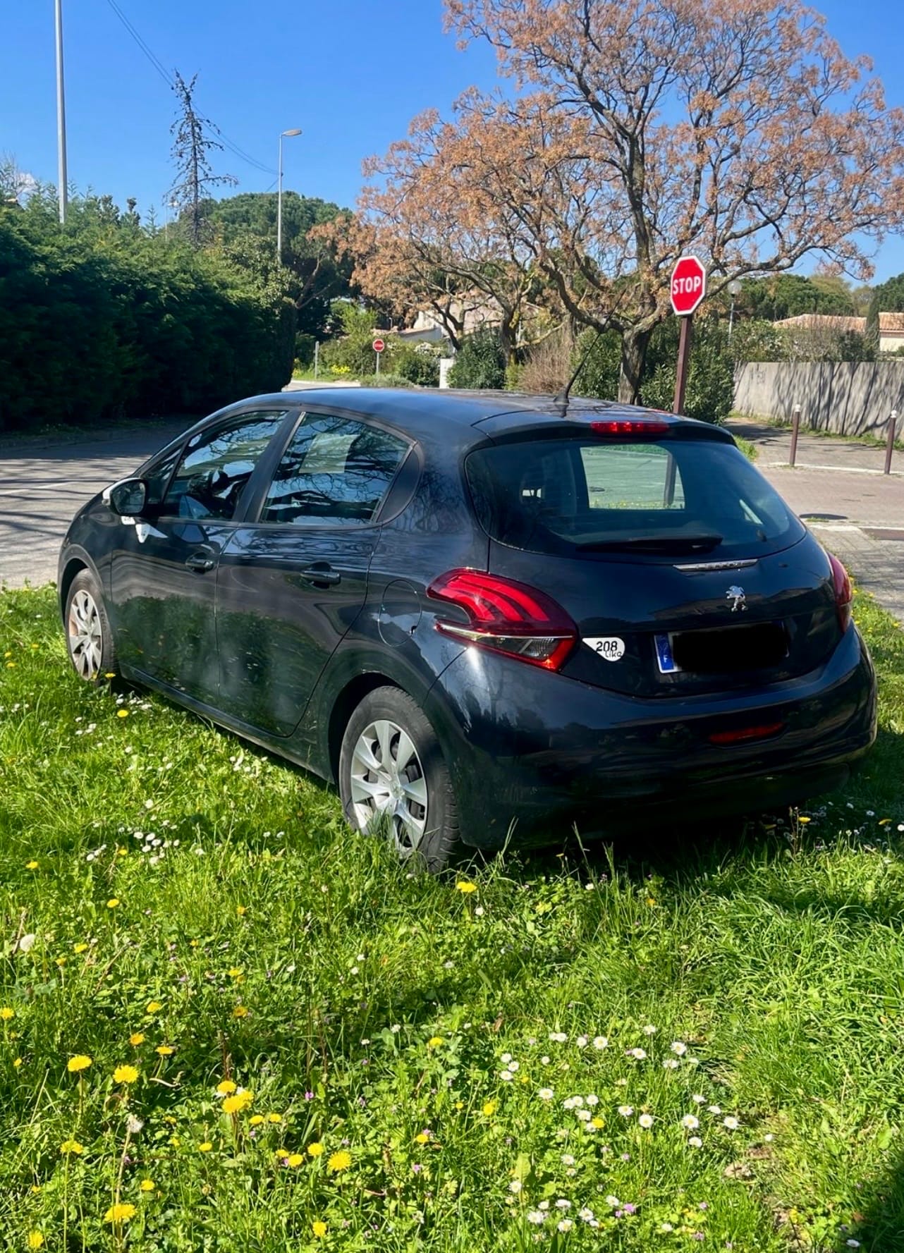 Peugeot 208 avec Régulateur de vitesse