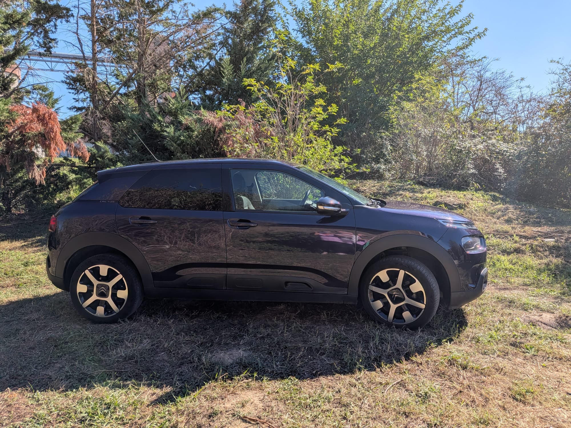 Citroen C4 Cactus, 2018, Essence 95, automatique