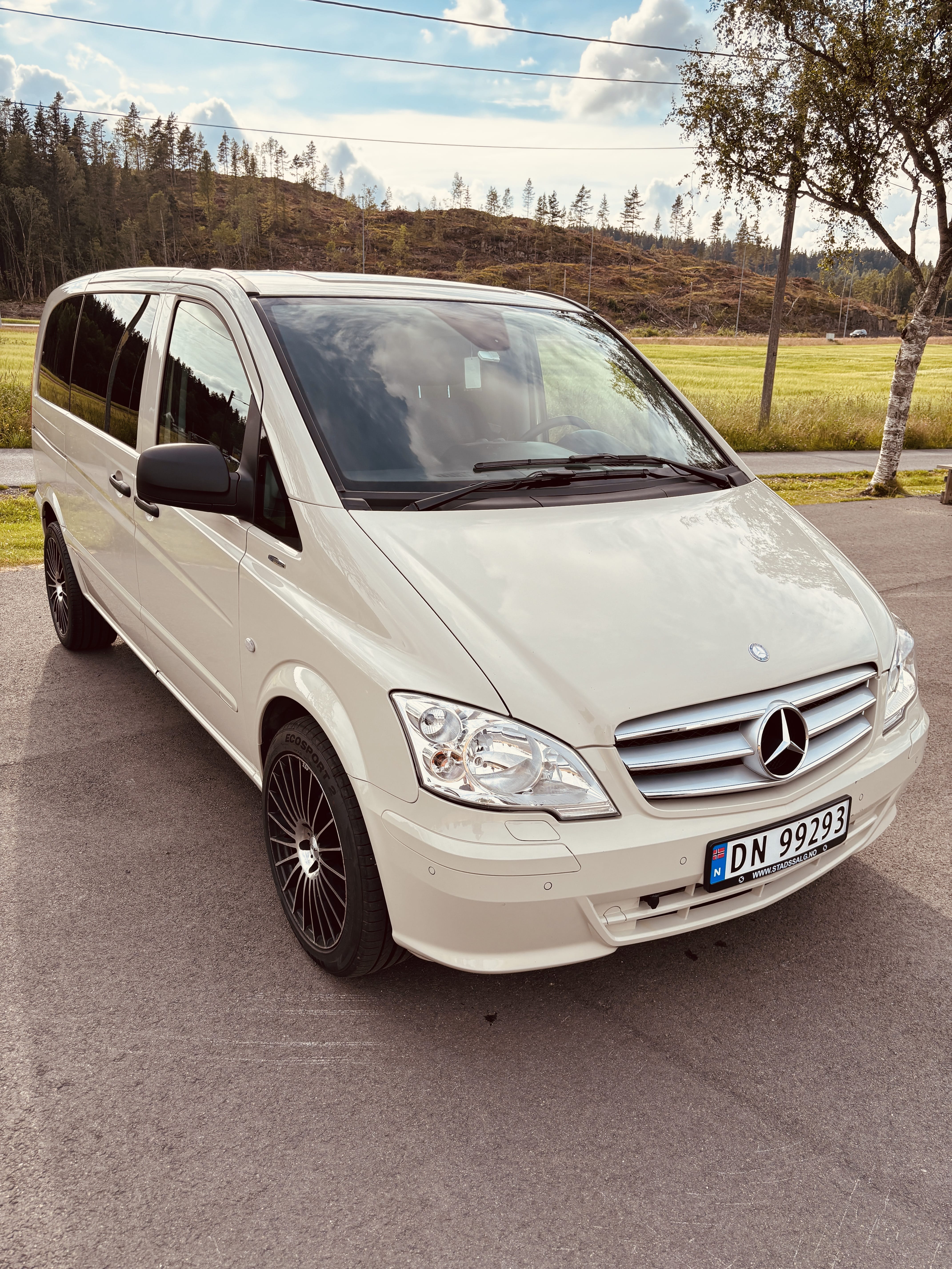 Mercedes-Benz Viano 2.2 CDI with Roof box