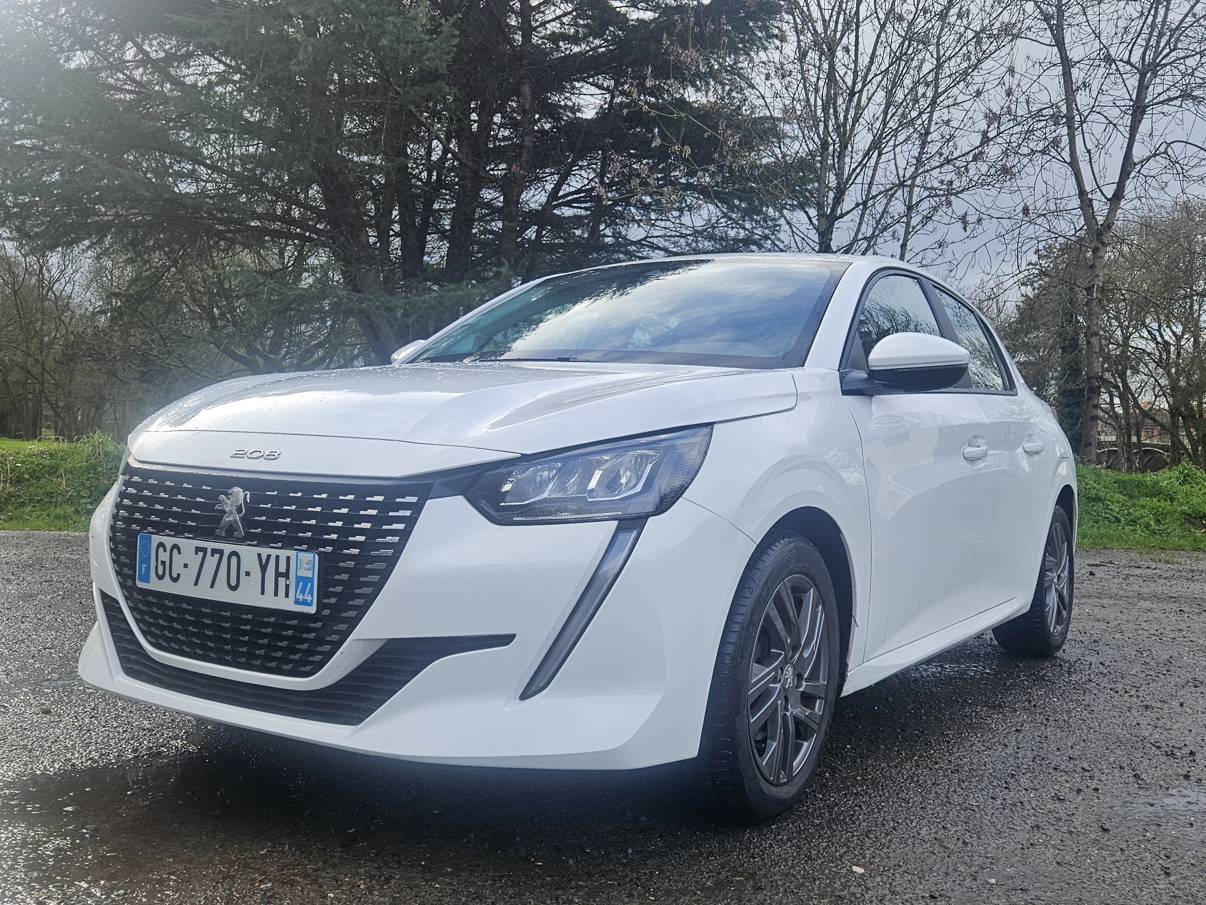 Peugeot 208, 2021, Essence 95