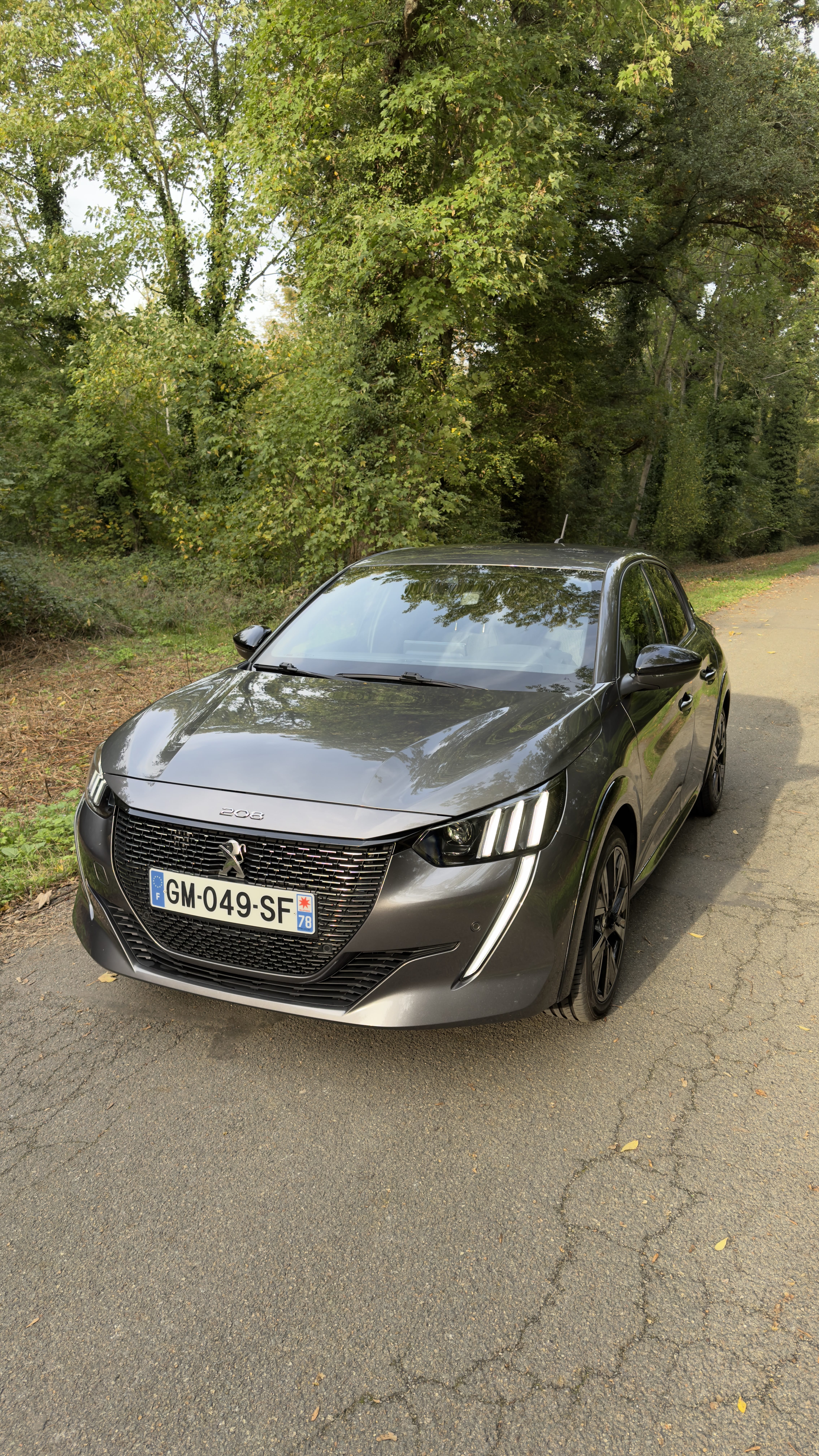 Peugeot 208 GT Line, 2023, Essence 98