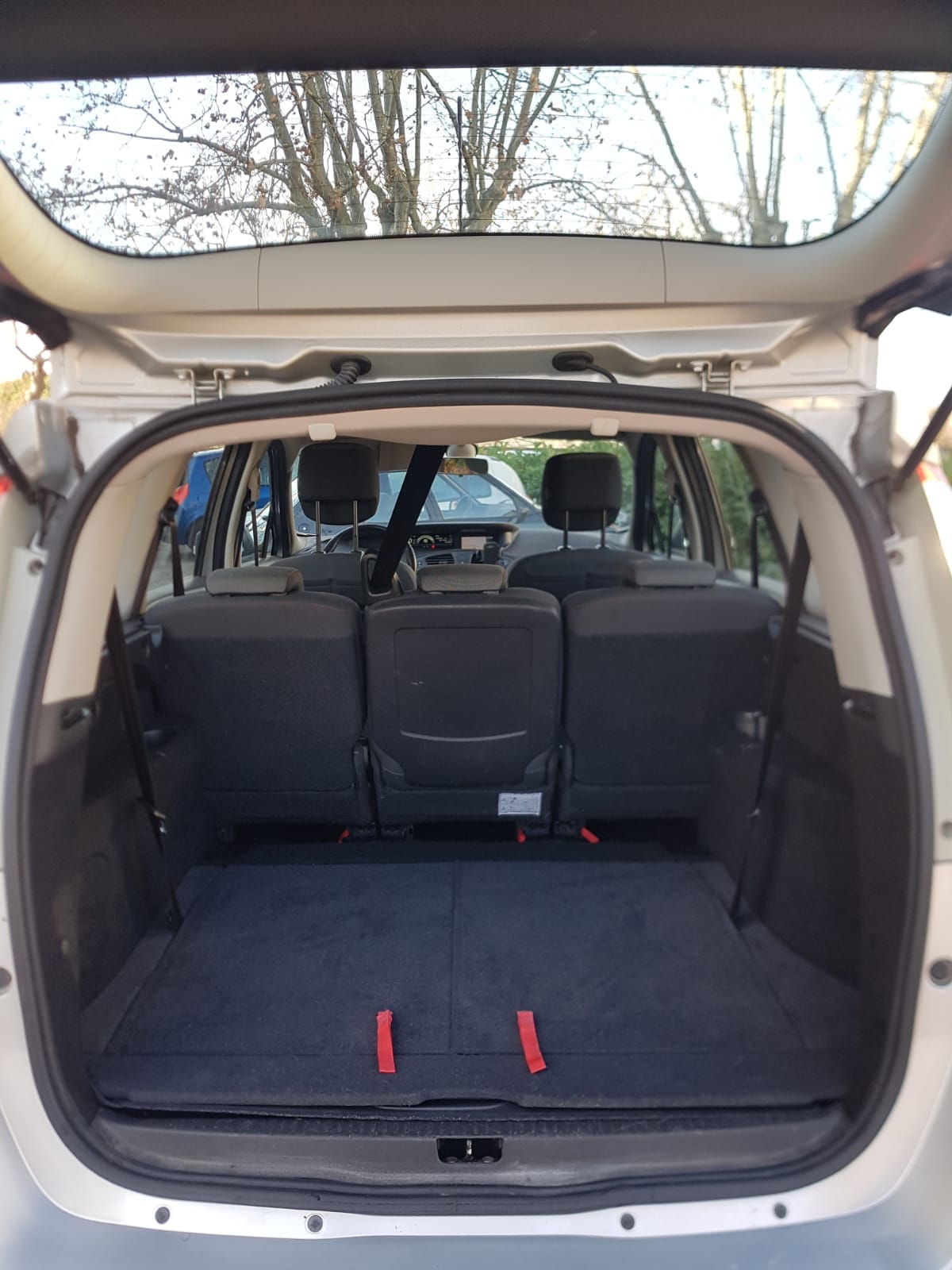 Renault Grand Scenic with Audio / iPod input