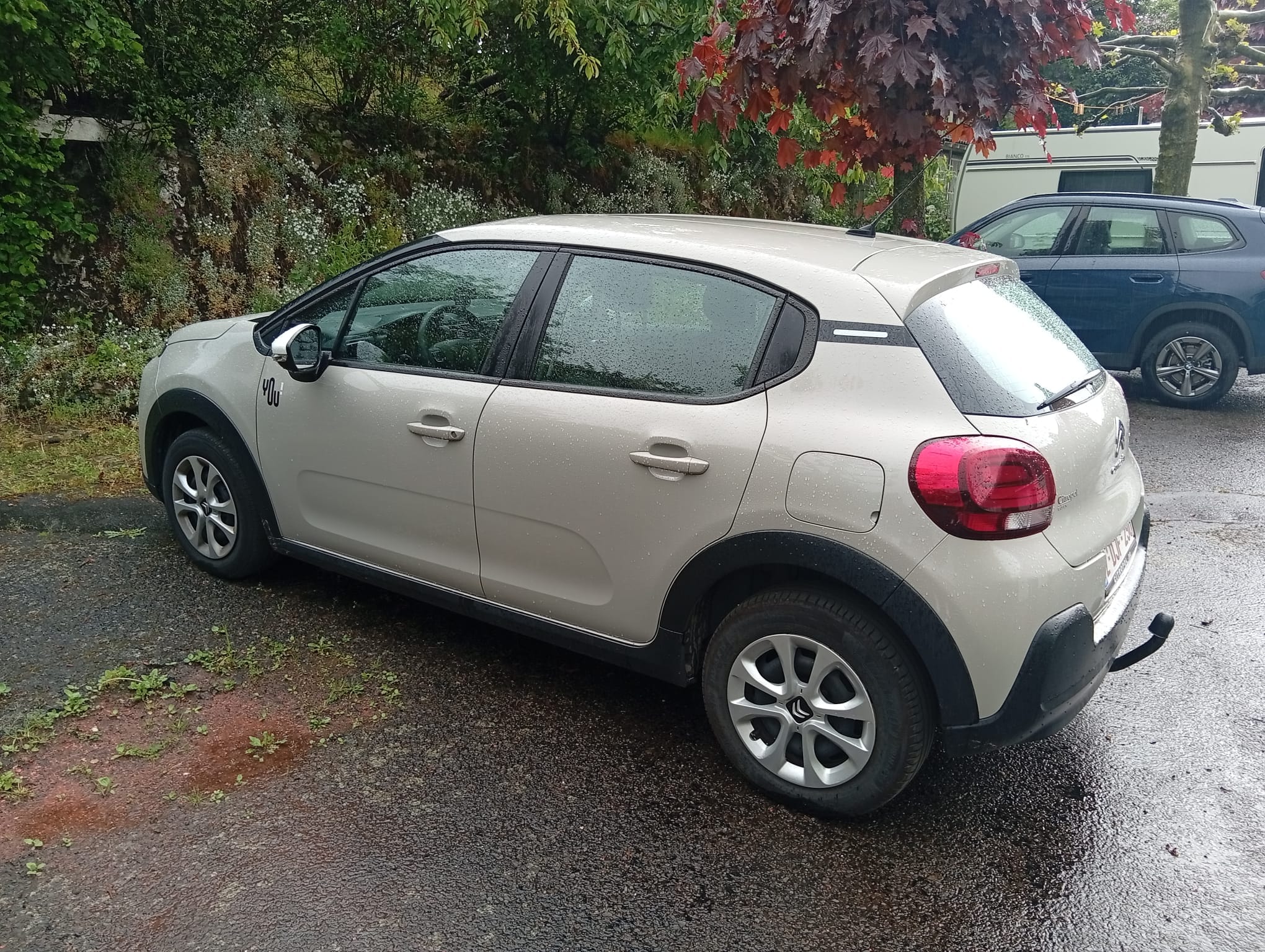 Citroen C3 met Cruise control