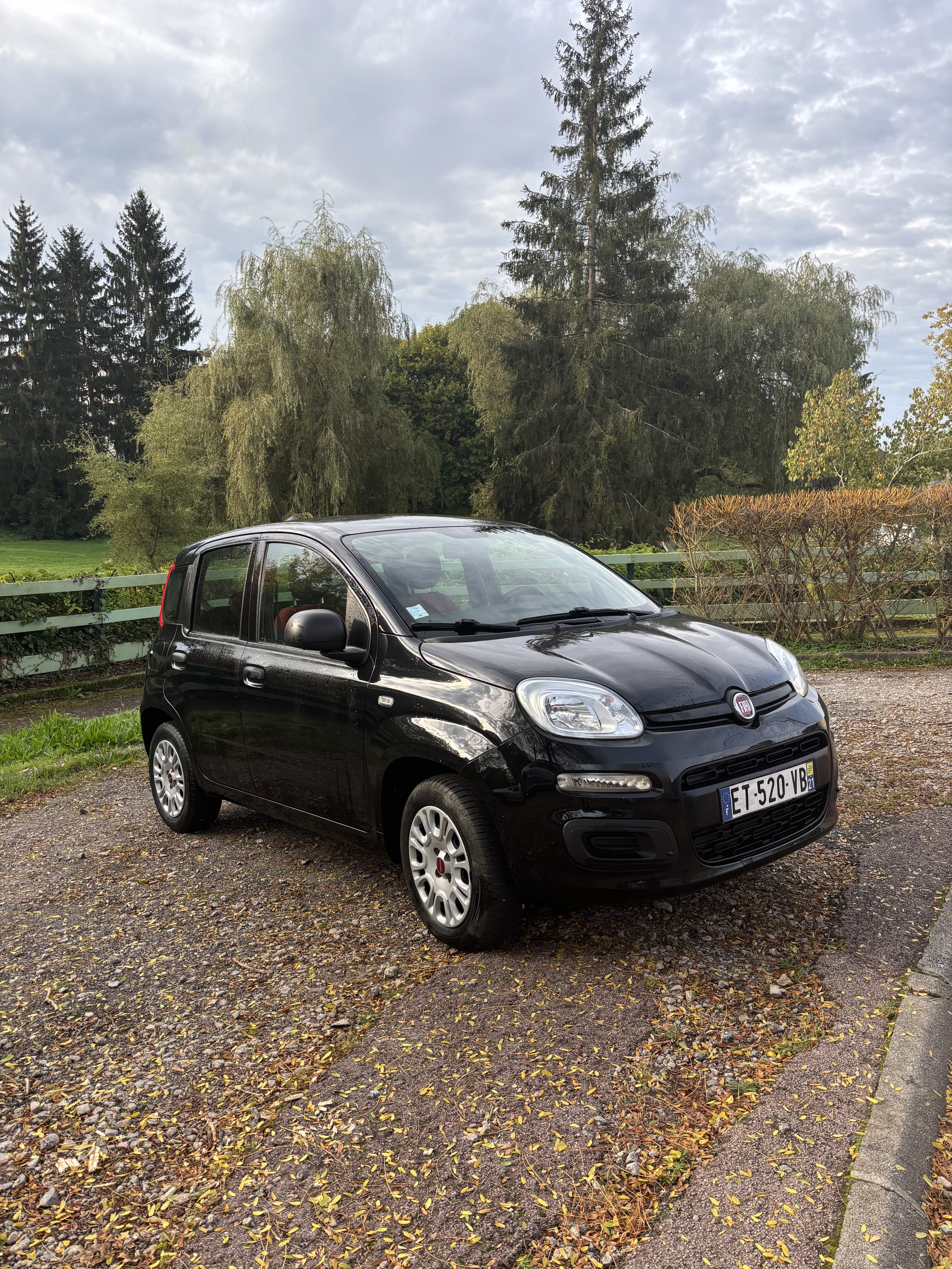 Fiat Panda BUSINESS 1.2L 69CV