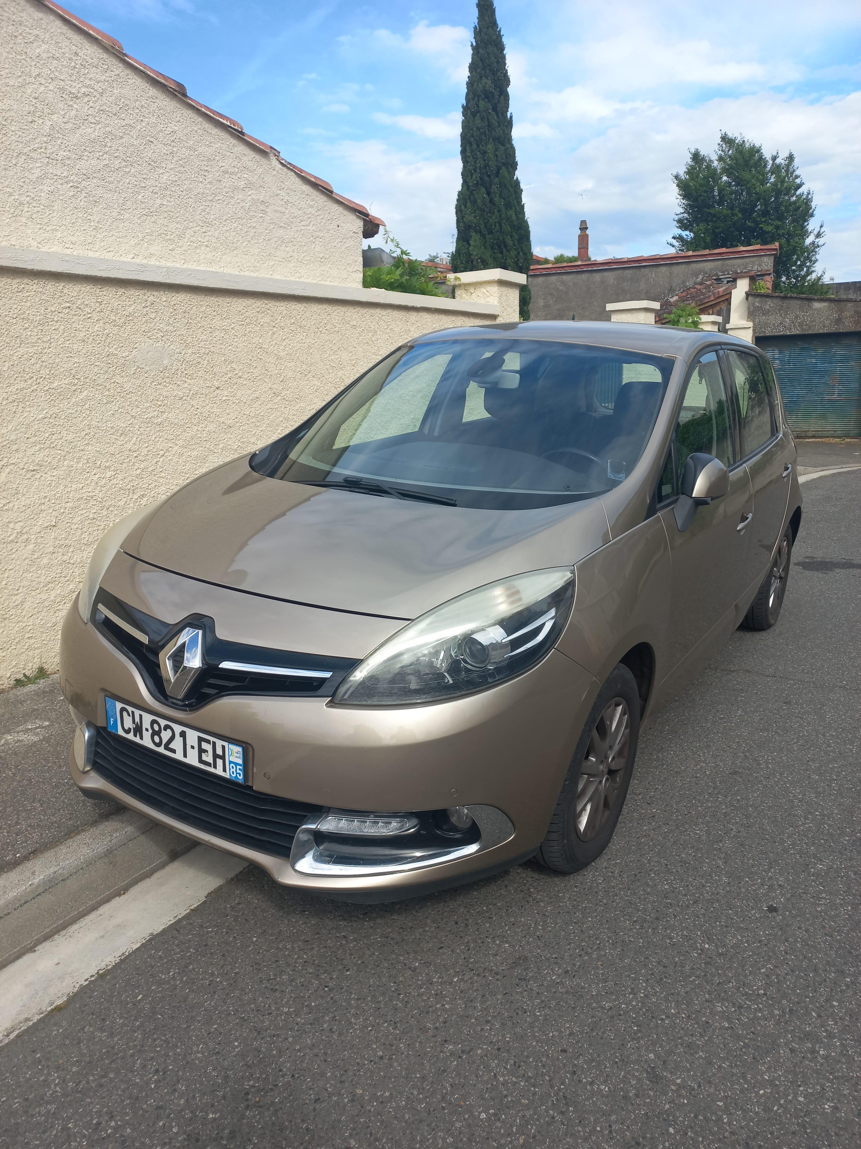 Renault Scenic 1.5 DCI 110 CV dynamique, 2013, Diesel