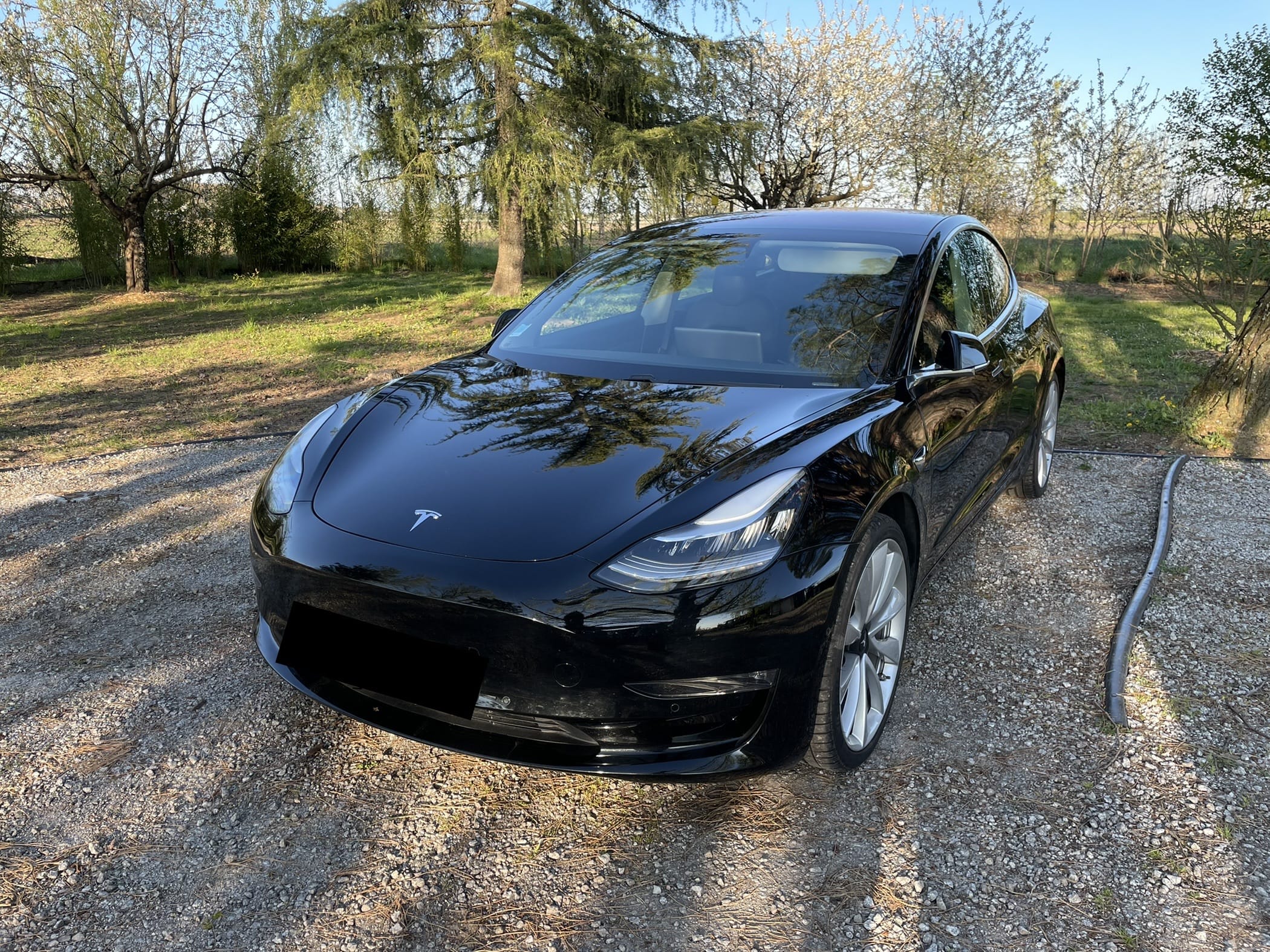 Tesla Model 3 Performance, 2019, Électrique, automatique