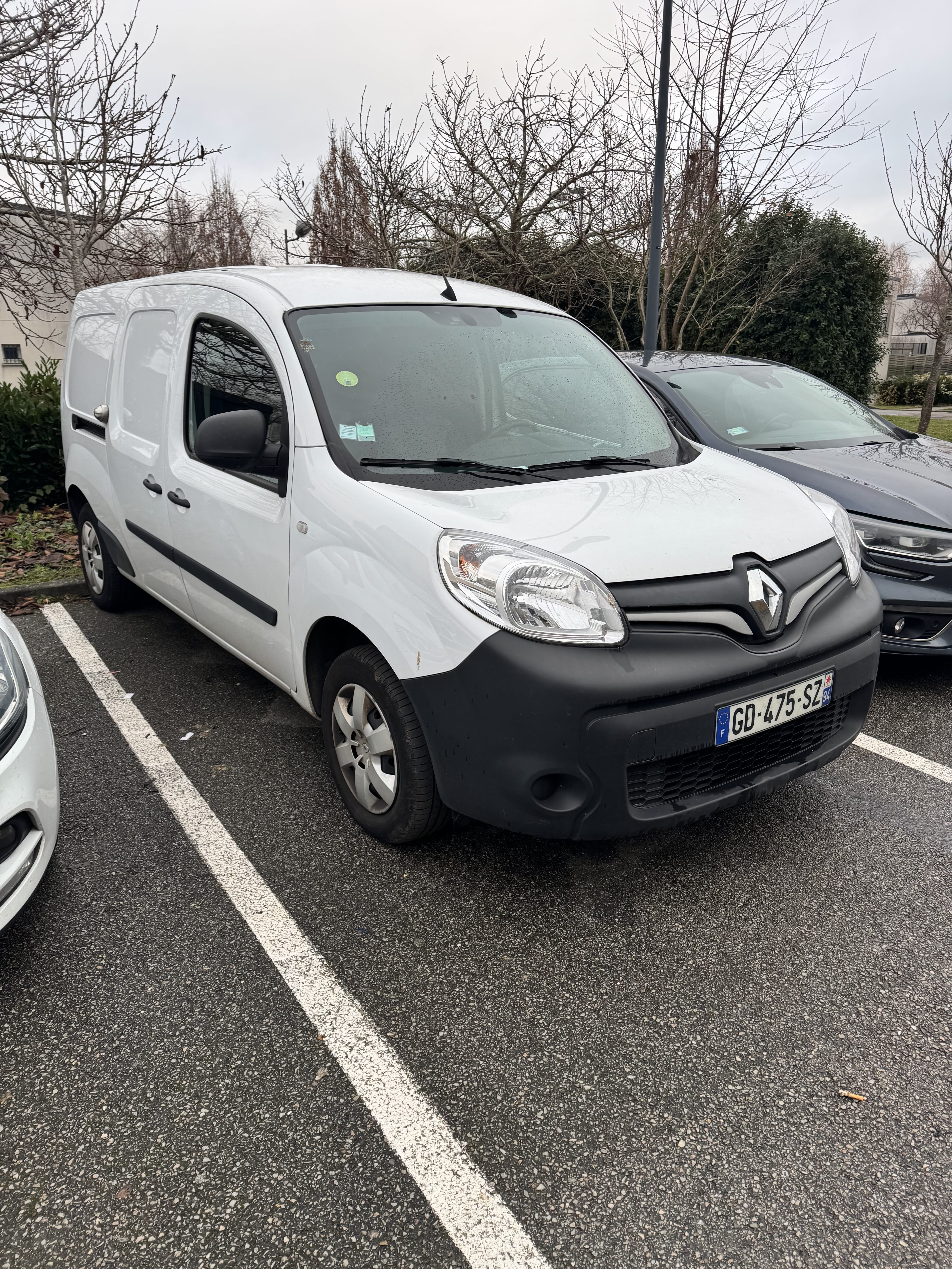 Renault Kangoo Fourgon, 2021, Diesel