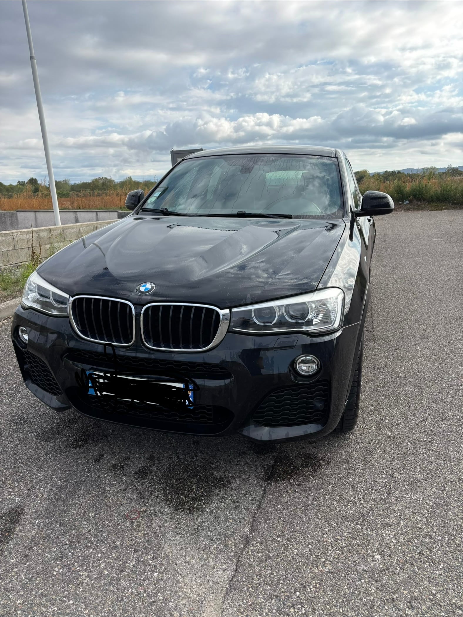 BMW X4 xDrive20d, 2015, Diesel, automatique