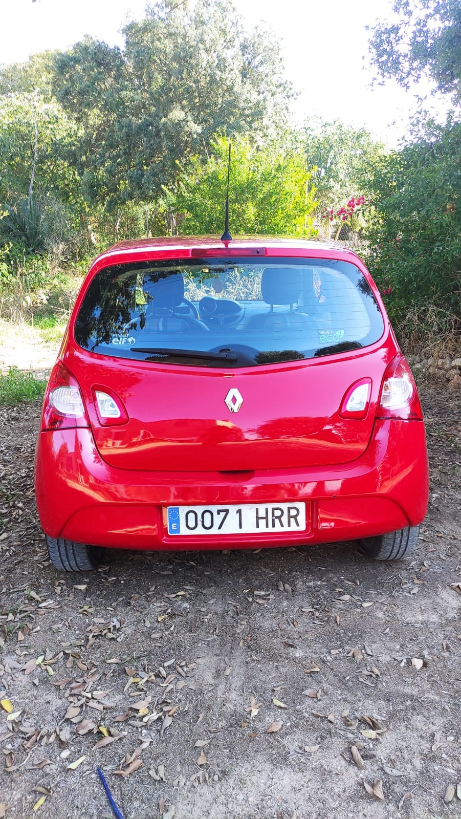 Renault Twingo con Silla infantil