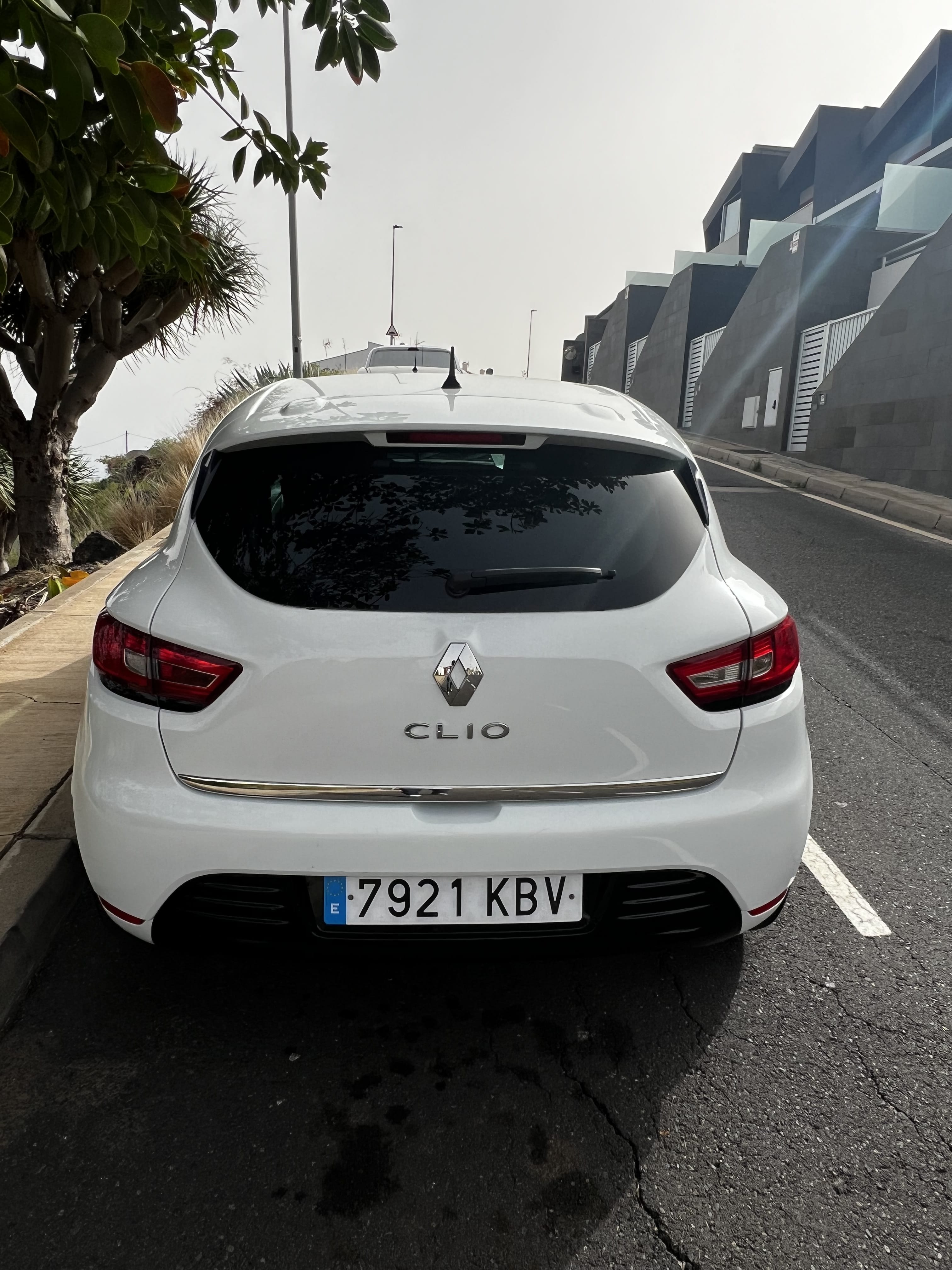 Renault Clio 1.2 mit Navigationsgerät