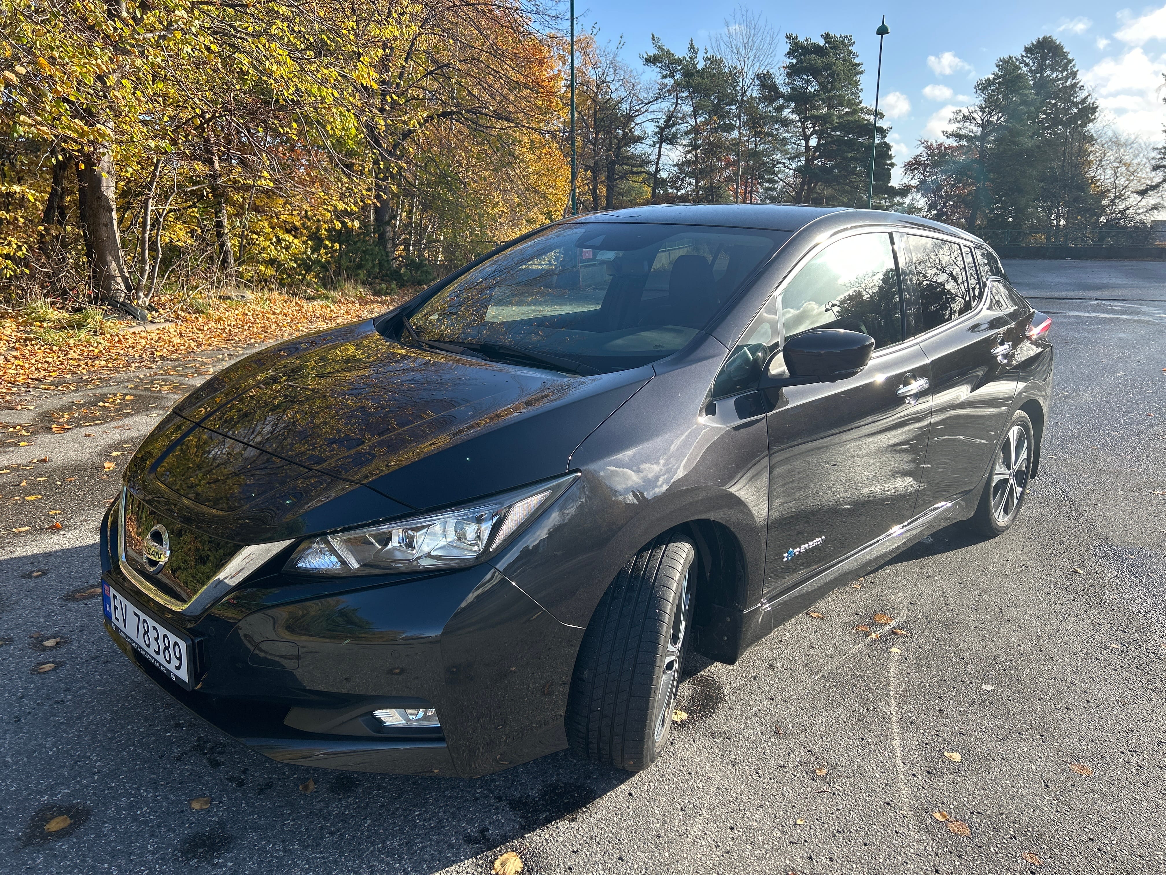 Nissan Leaf, 2019, Elektrisk, automatisk