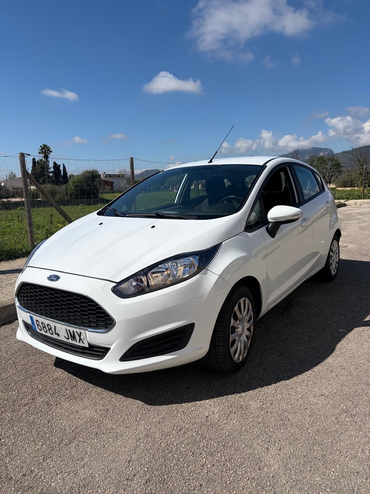 Ford Fiesta med Lydinngang