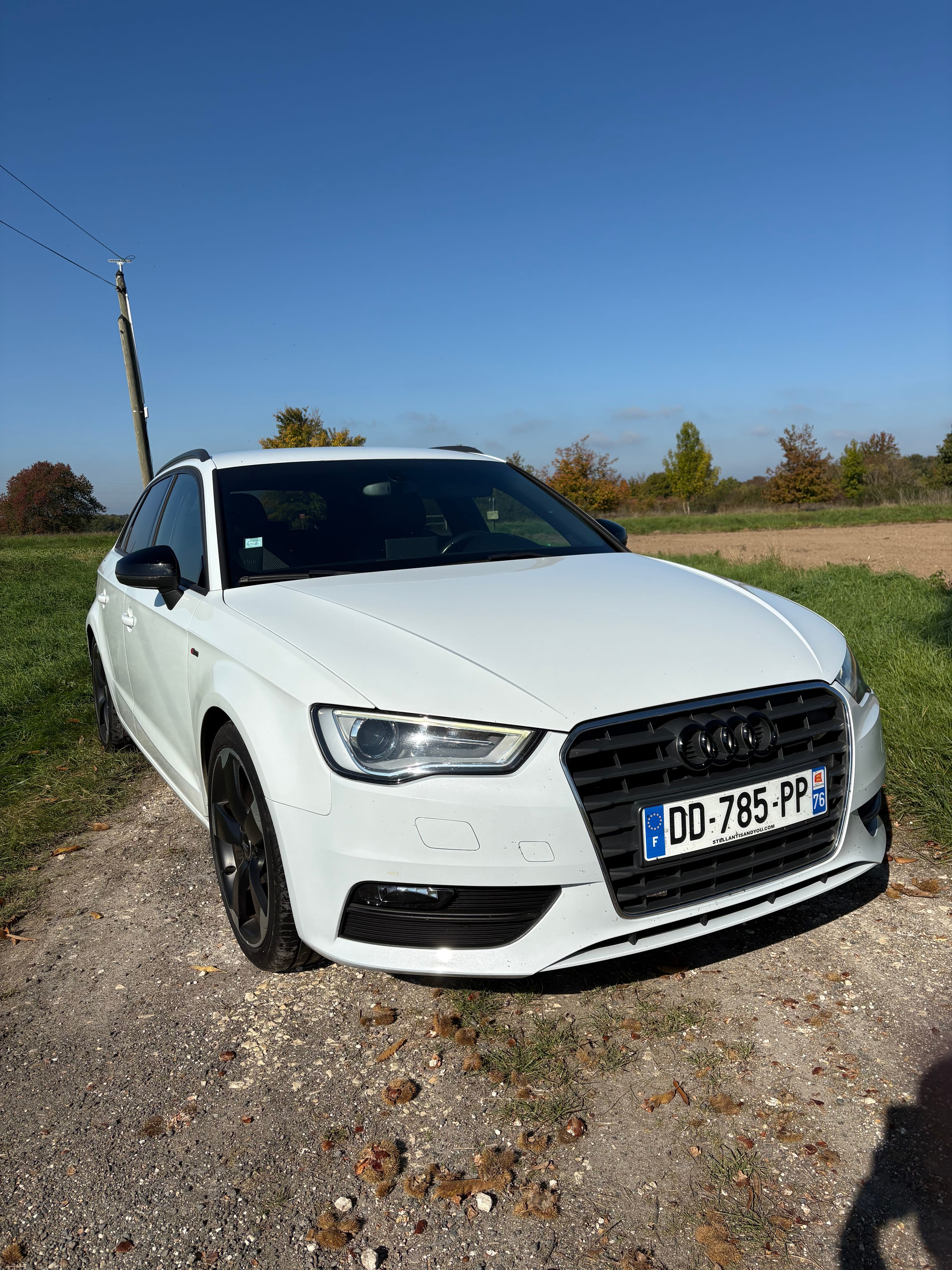 Audi A3 2,l tdi avec Climatisation