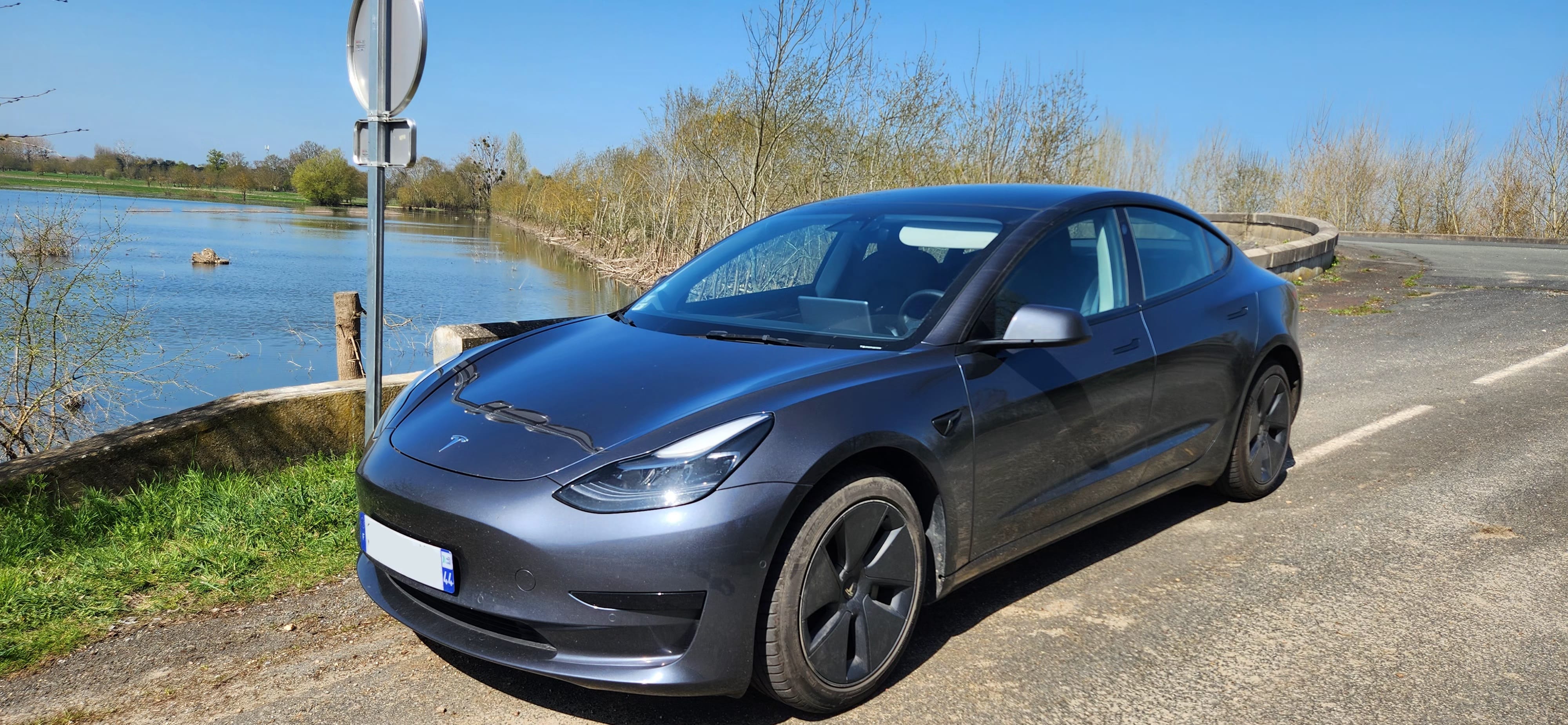 Tesla Model 3 Standard Range Plus, 2021, Électrique, automatique