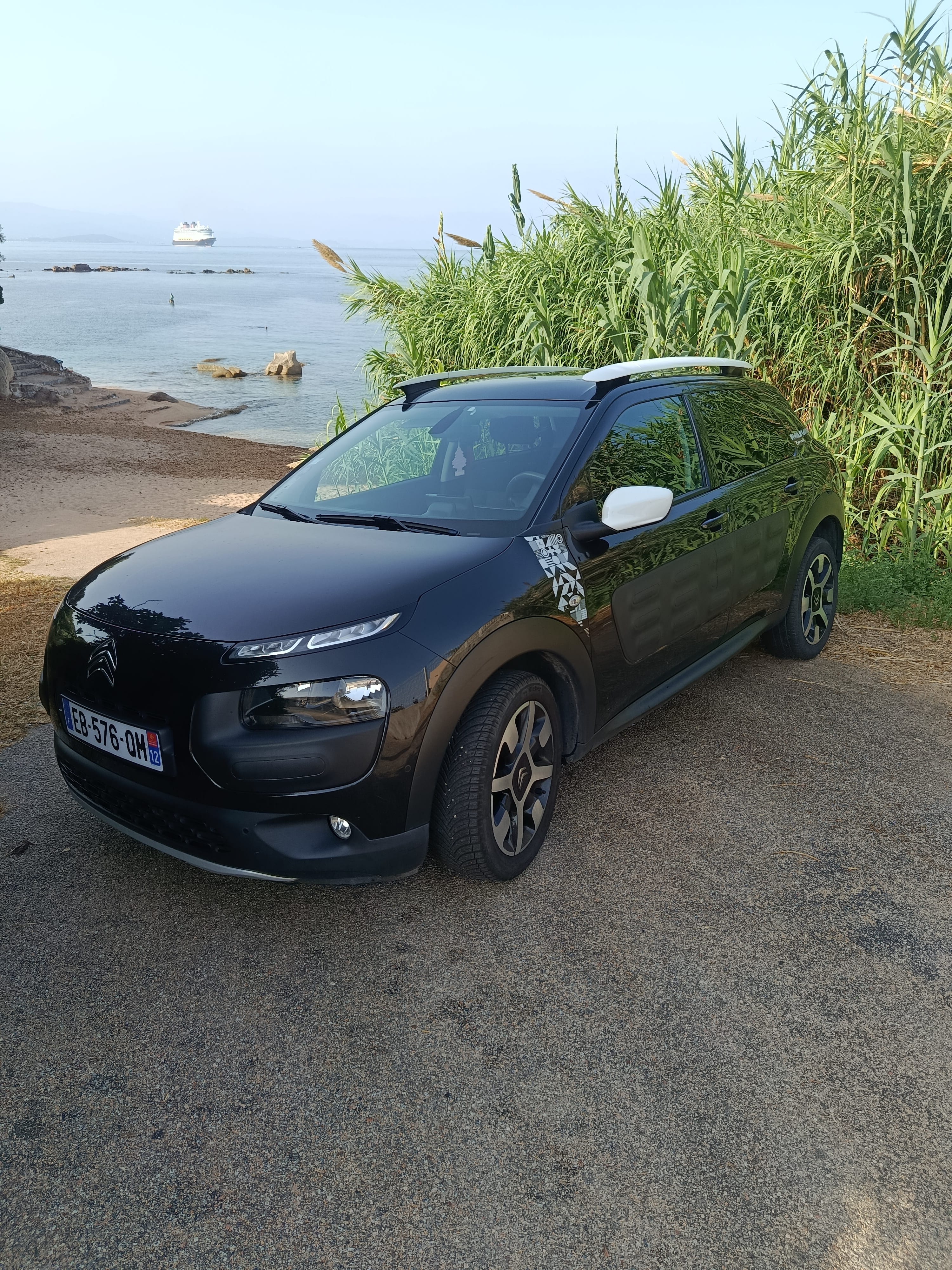 Citroen C4 Cactus, 2016, Essence 95