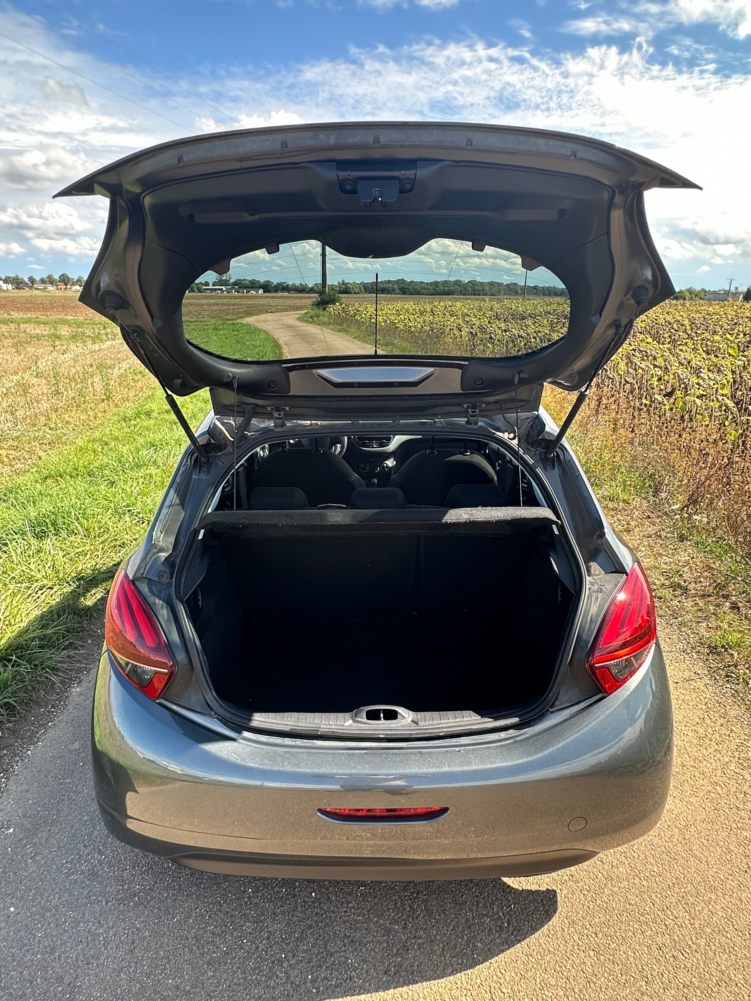 Peugeot 208 GARE SNCF avec Entrée audio / iPod