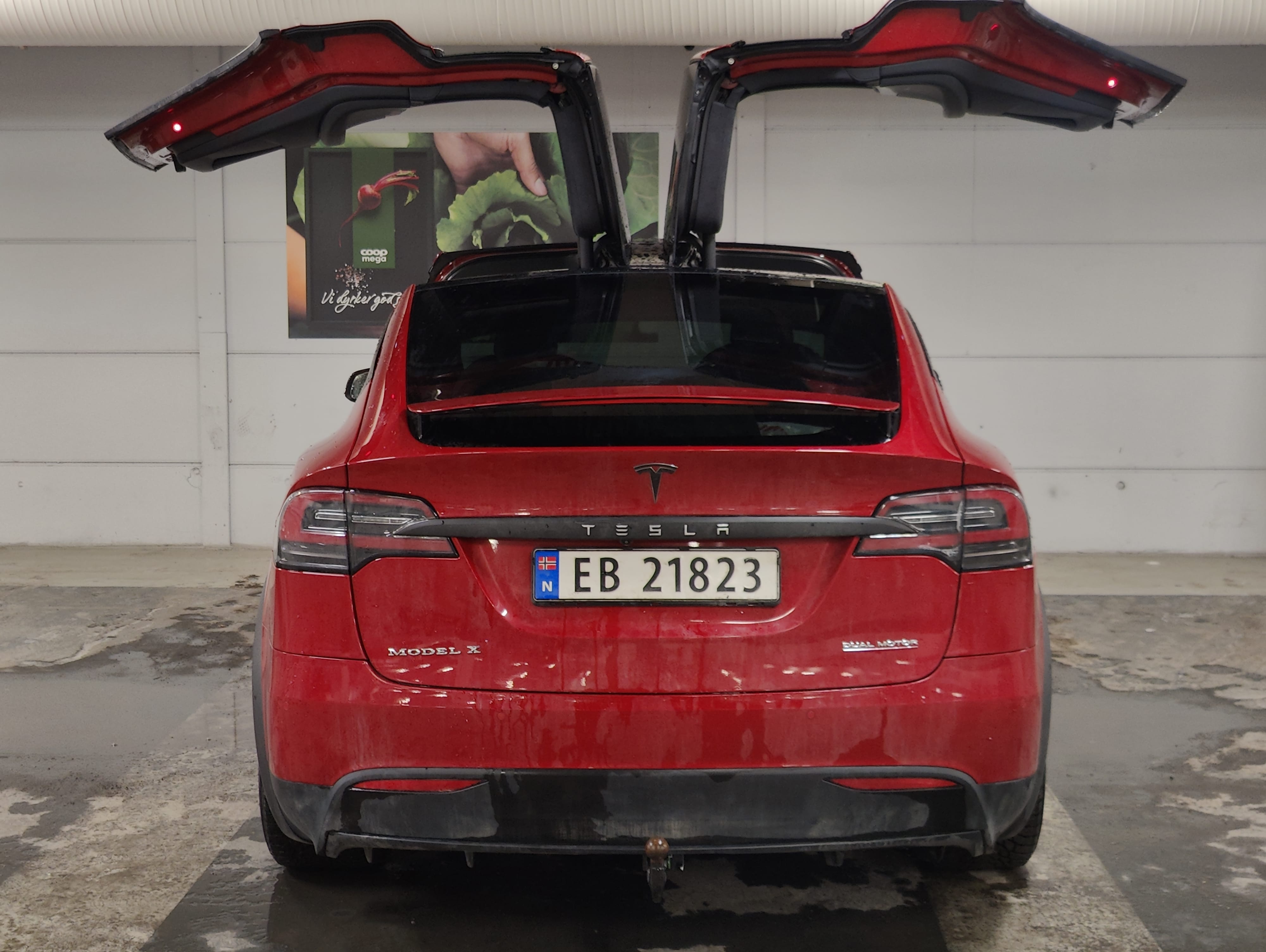 Tesla Model X Performance with GPS