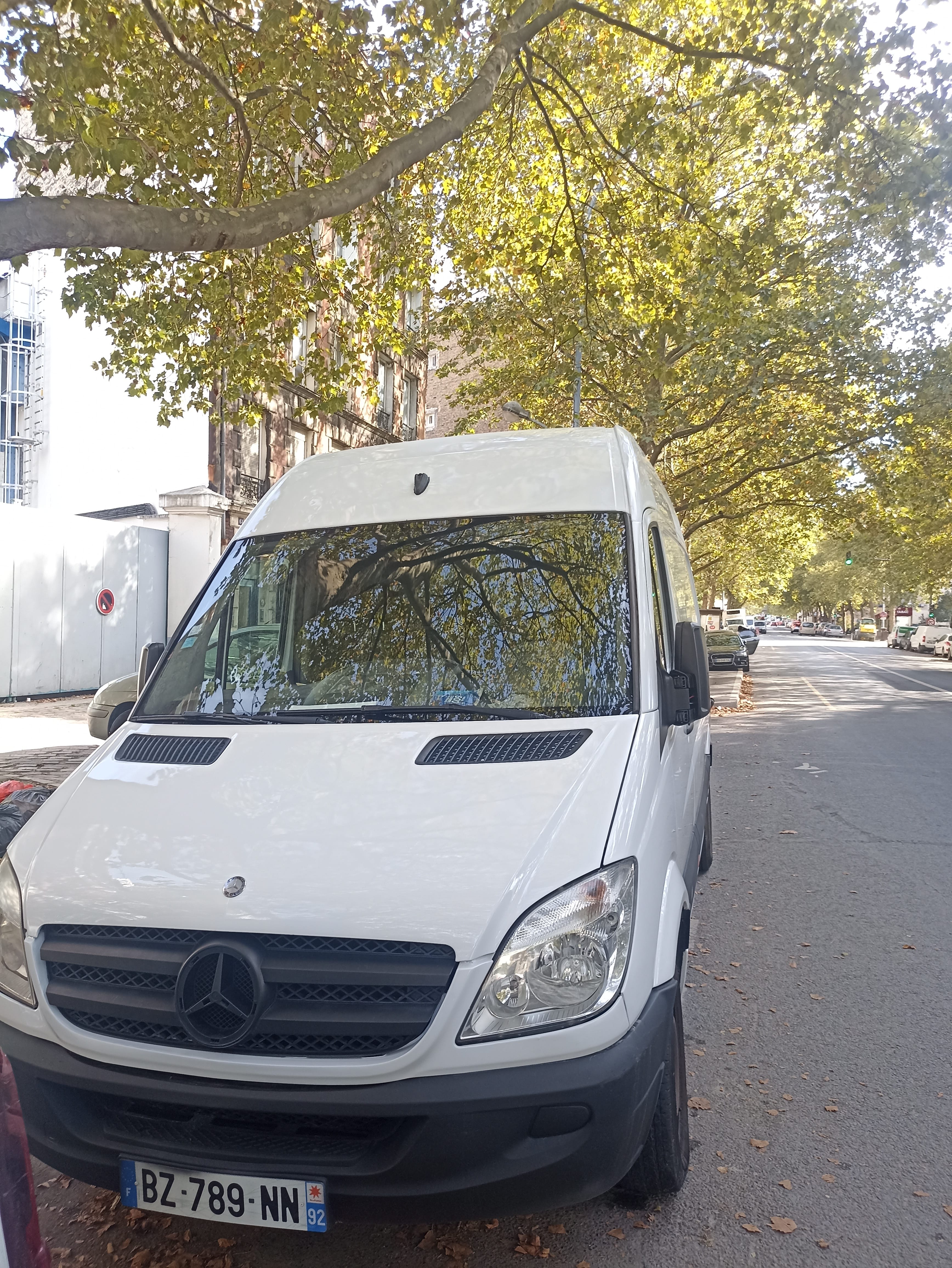 Mercedes-Benz Sprinter, 2011, Diesel