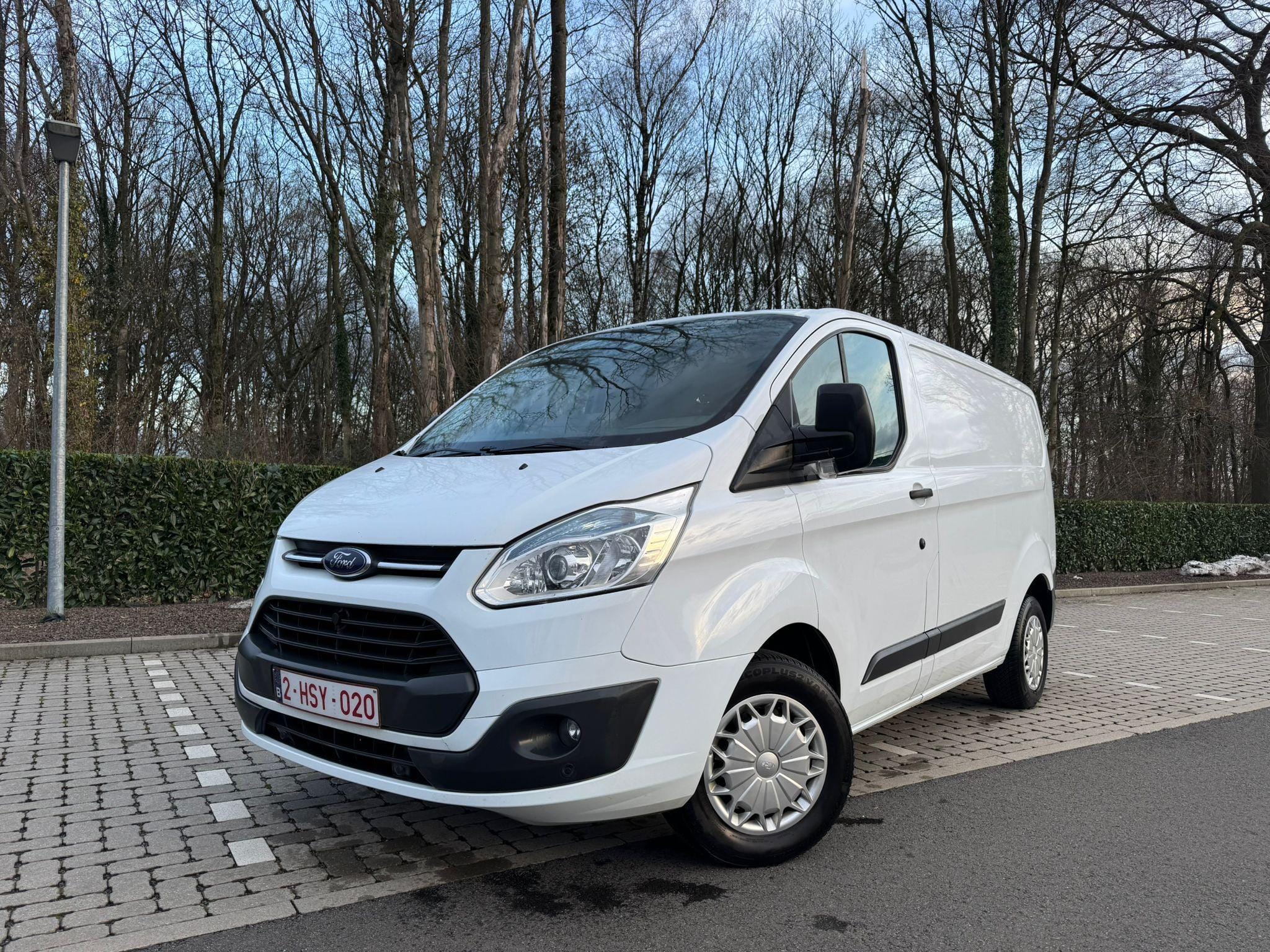 Ford Transit Custom Fourgon, 2014, Diesel (B7)