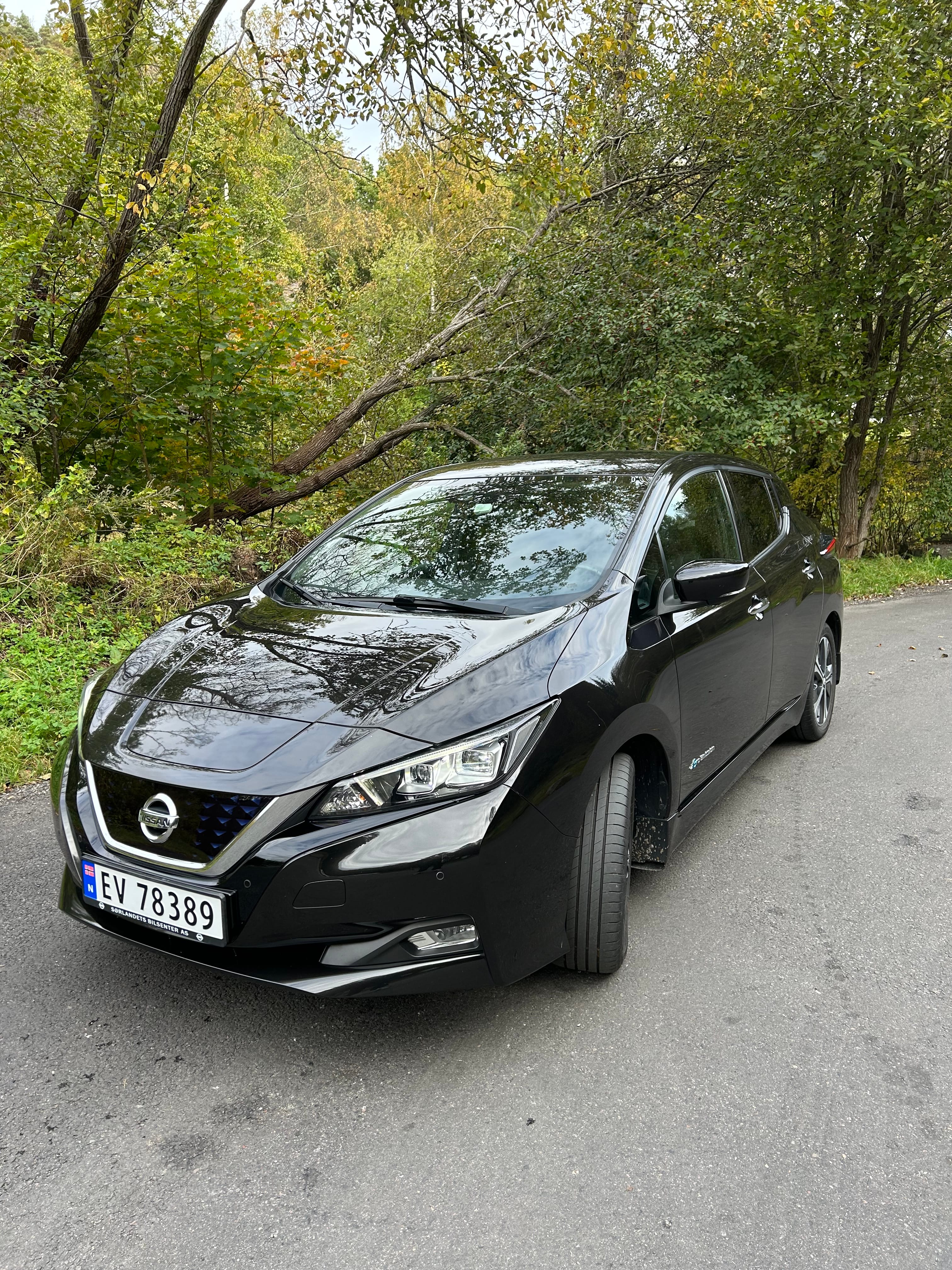 Nissan Leaf med Cruisekontroll