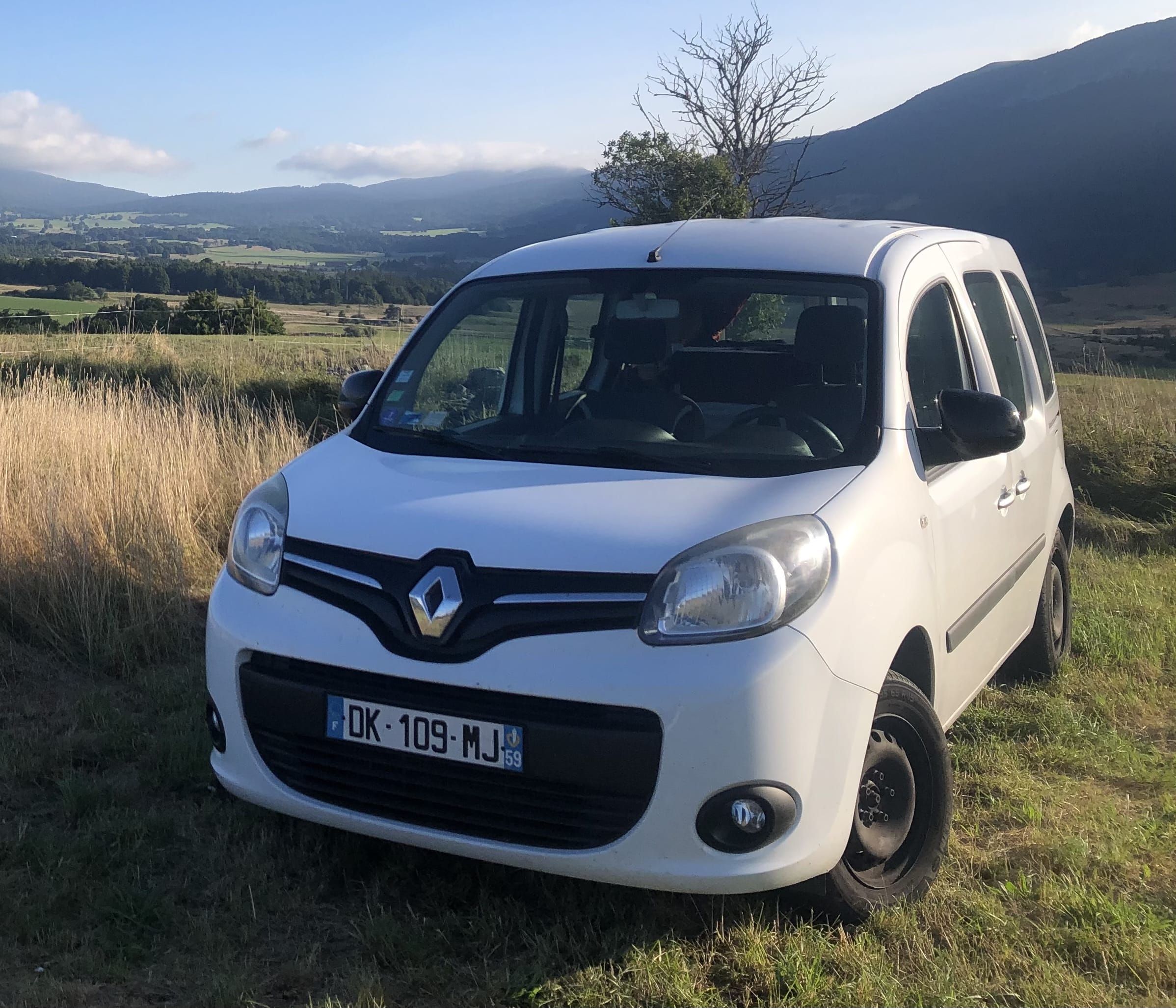 Renault Kangoo, 2014, Essence 95