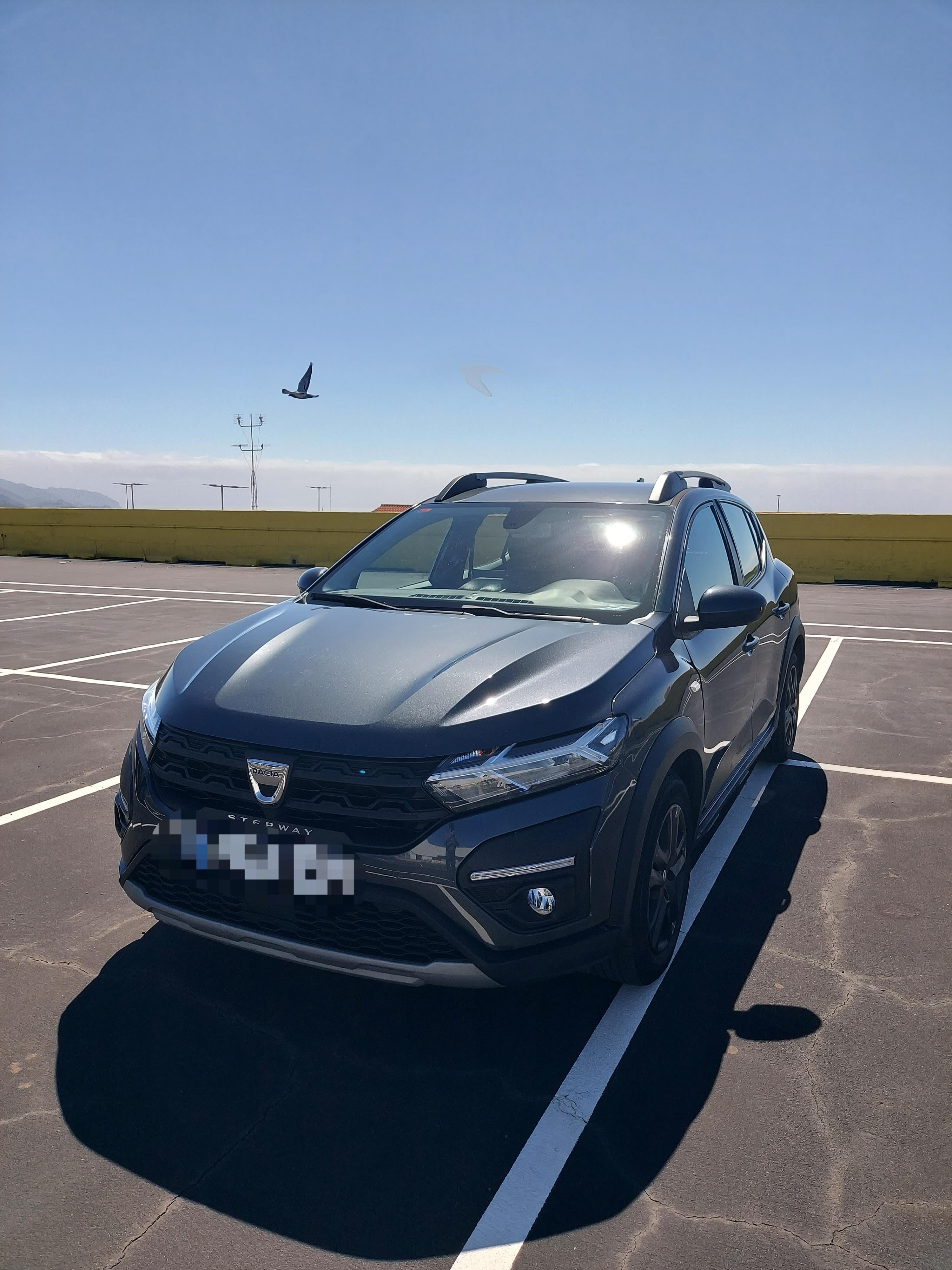 Dacia Sandero Stepway con Audio Bluetooth