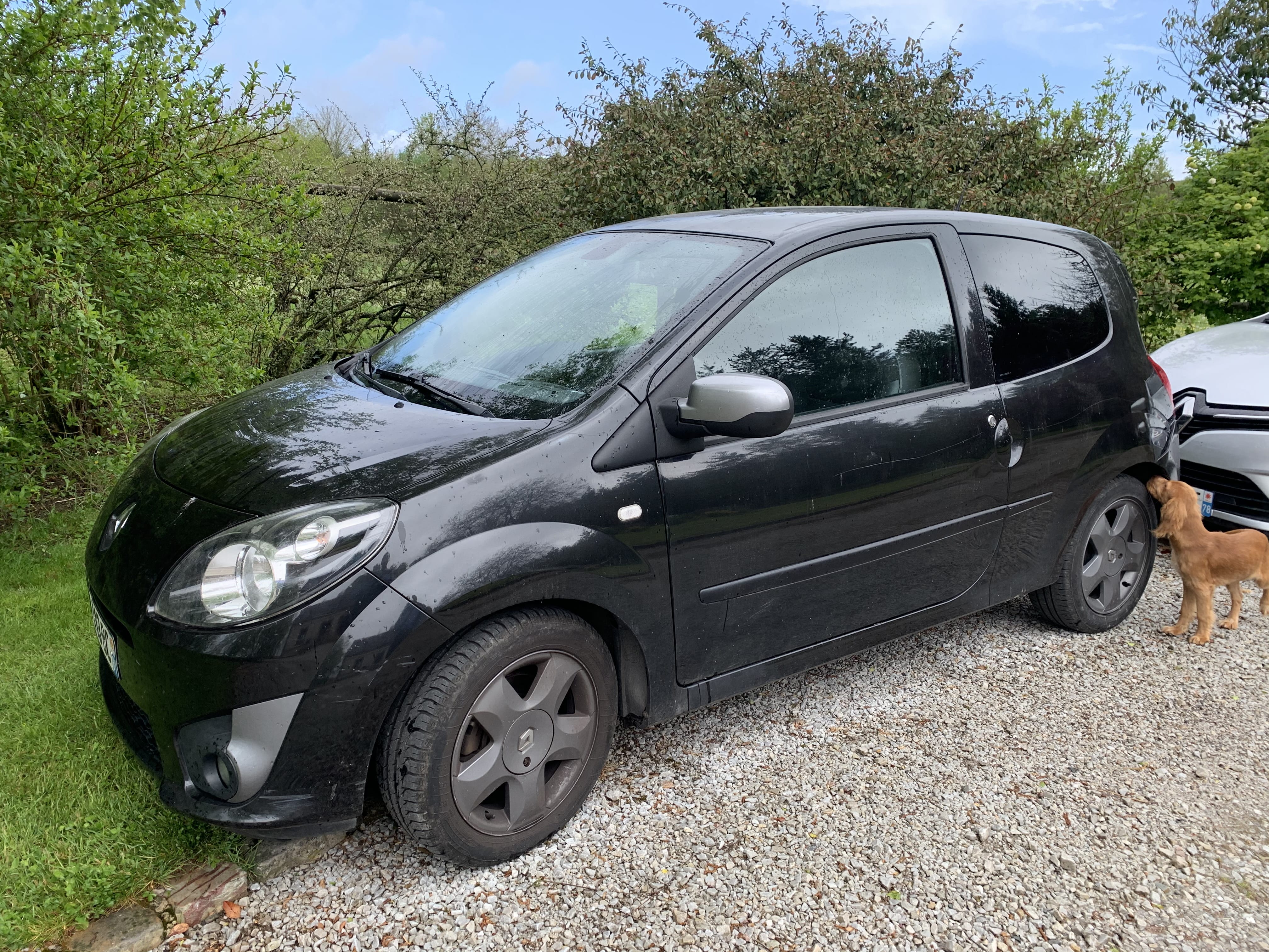 Renault Twingo, 2011, Essence 95