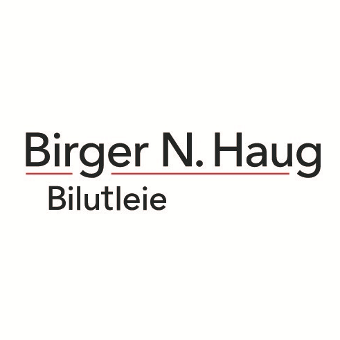 Birger N. Haug Bilutleie