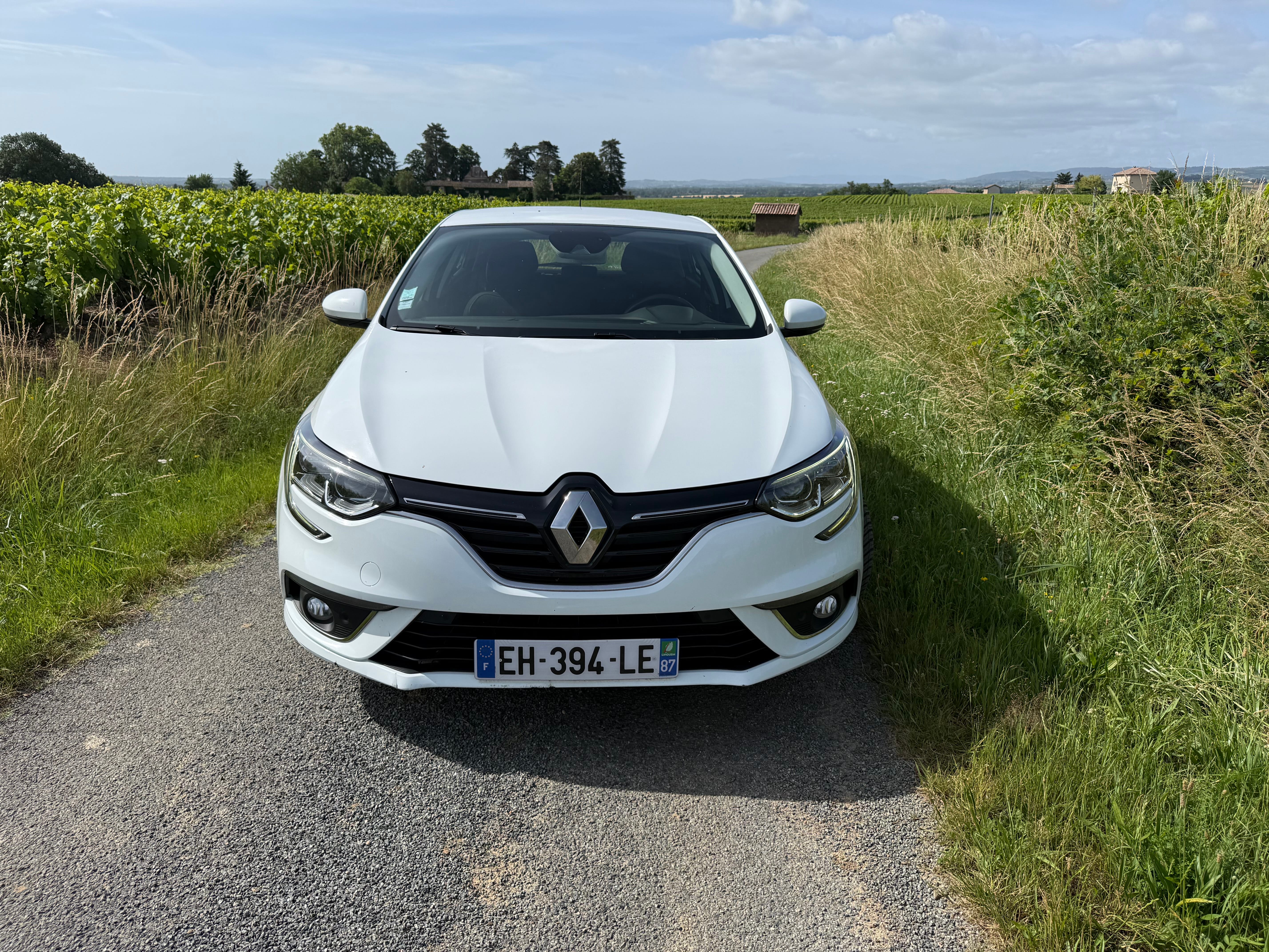 Renault Mégane avec Siège bébé