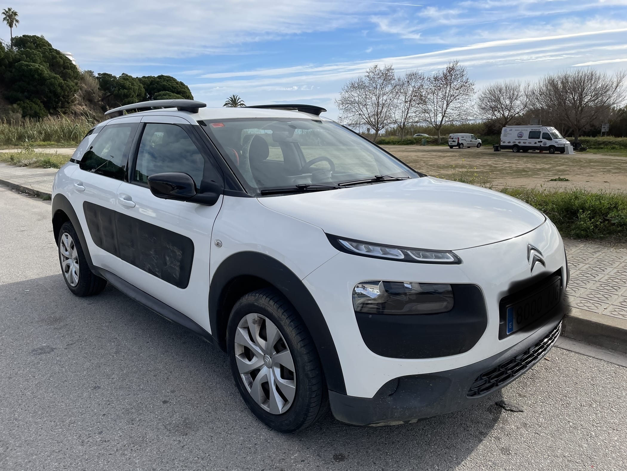 Citroen C4 Cactus, 2015, Gasolina 95