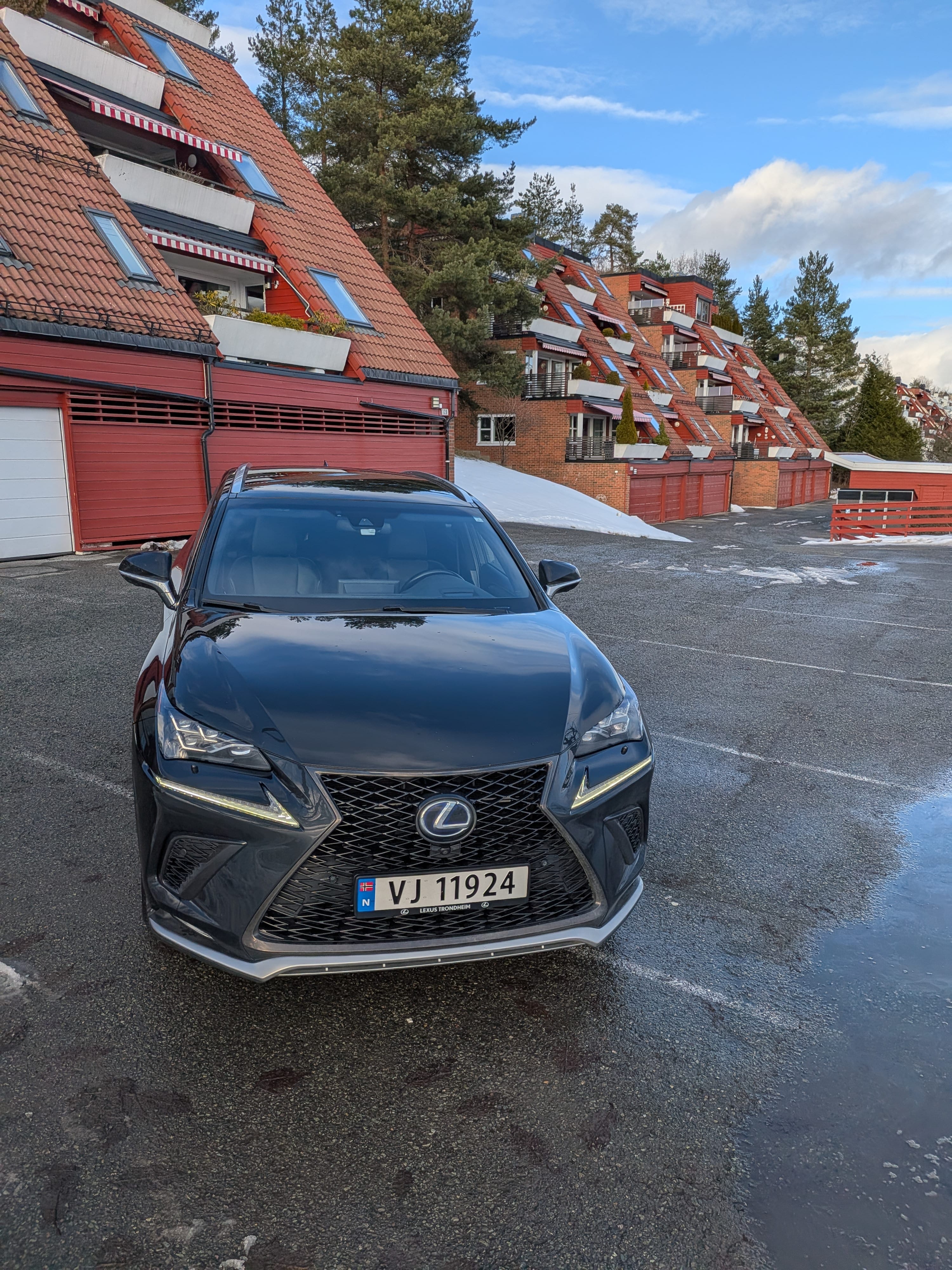 Lexus NX 300 F Sport