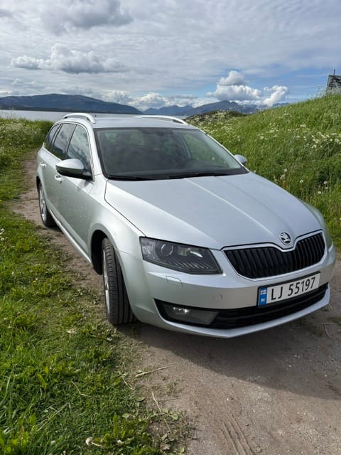 Skoda Octavia med Bilradio