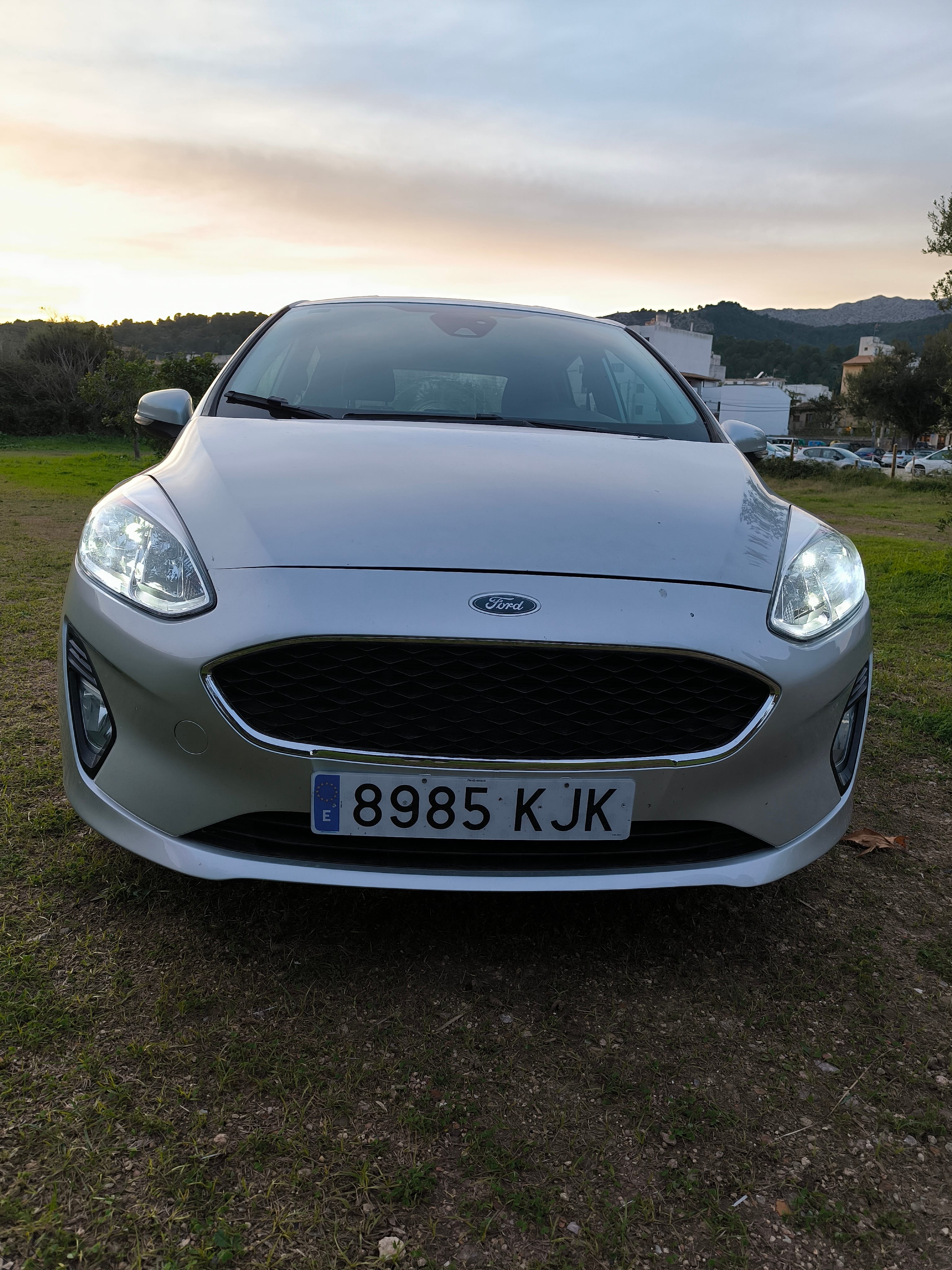 Ford Fiesta, 2018, Gasolina 95