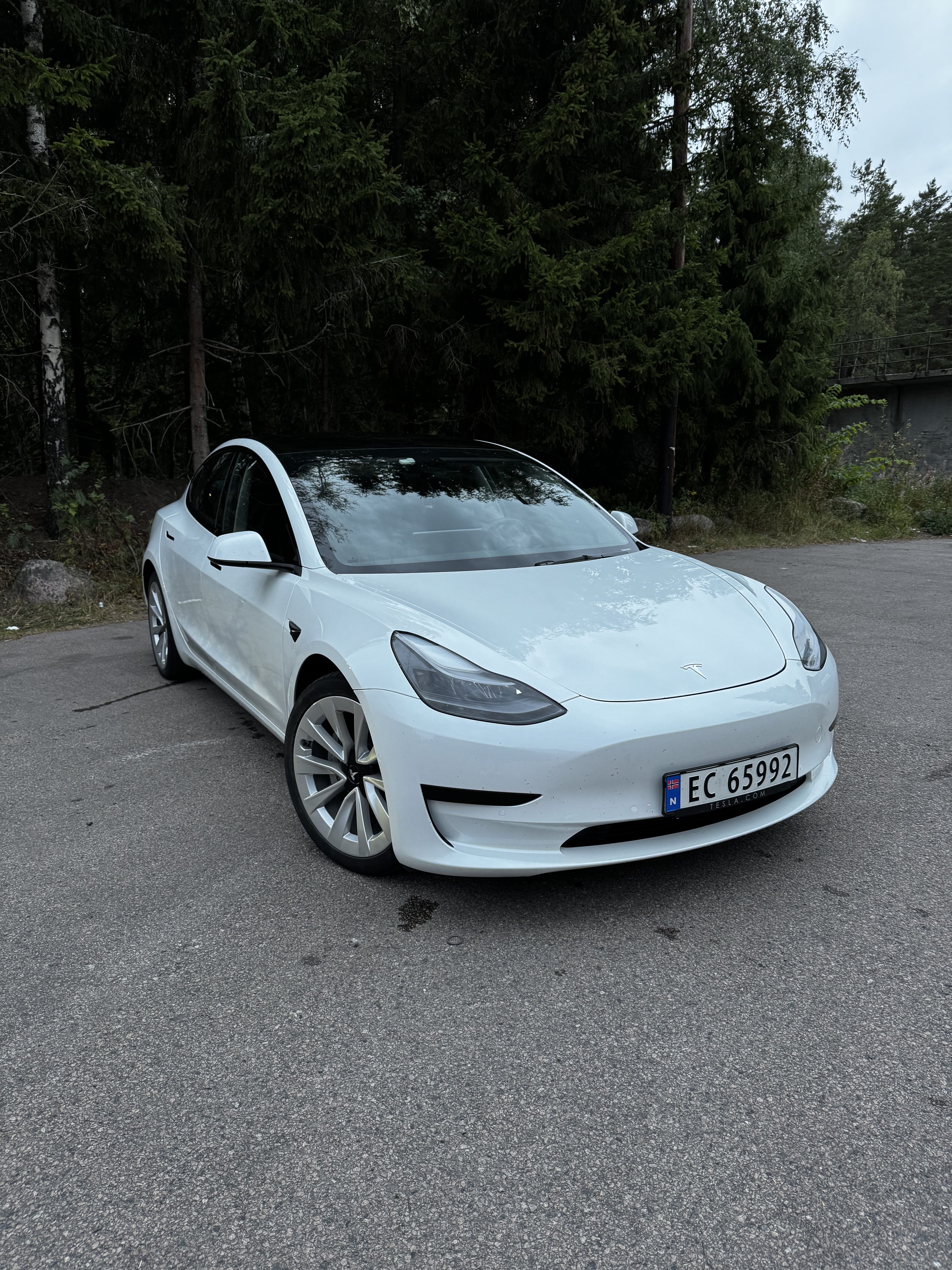 Tesla Model 3 Standard Range Plus, 2021, Elektrisk, automatisk