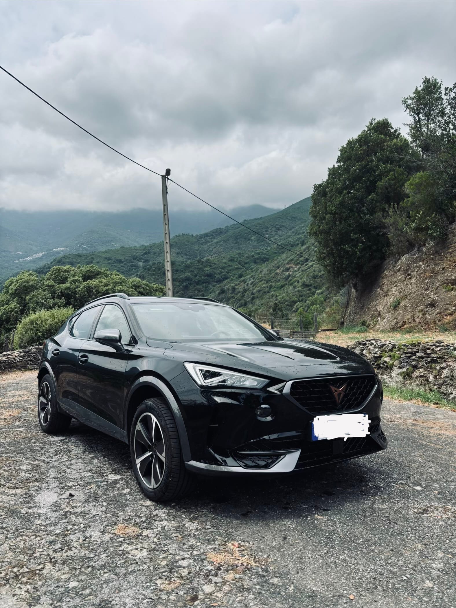 Cupra Formentor 2.0 TSI VZ DSG7 avec Climatisation